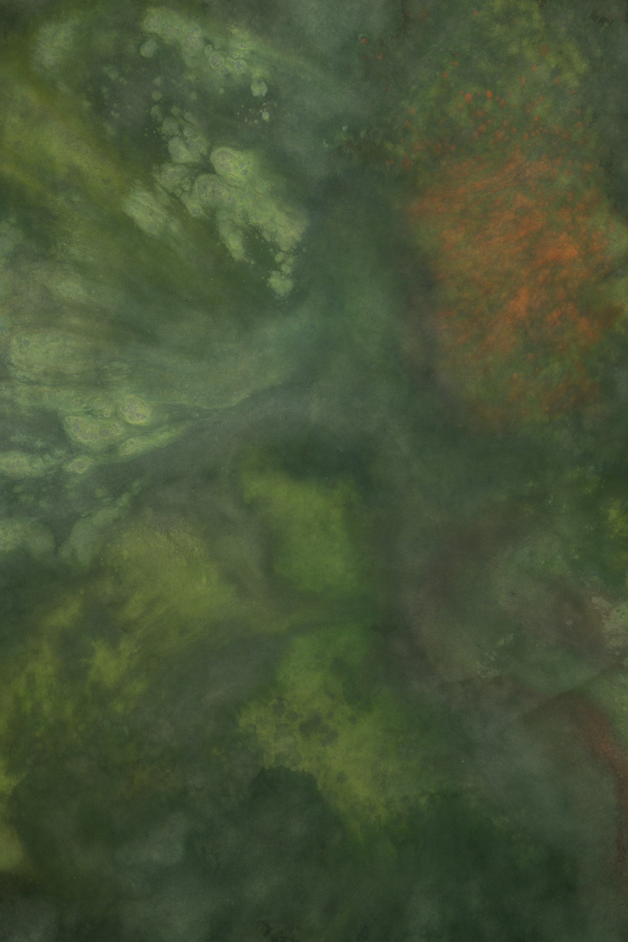 Lunar Green Painted Canvas Backdrop (RN#445) view 2