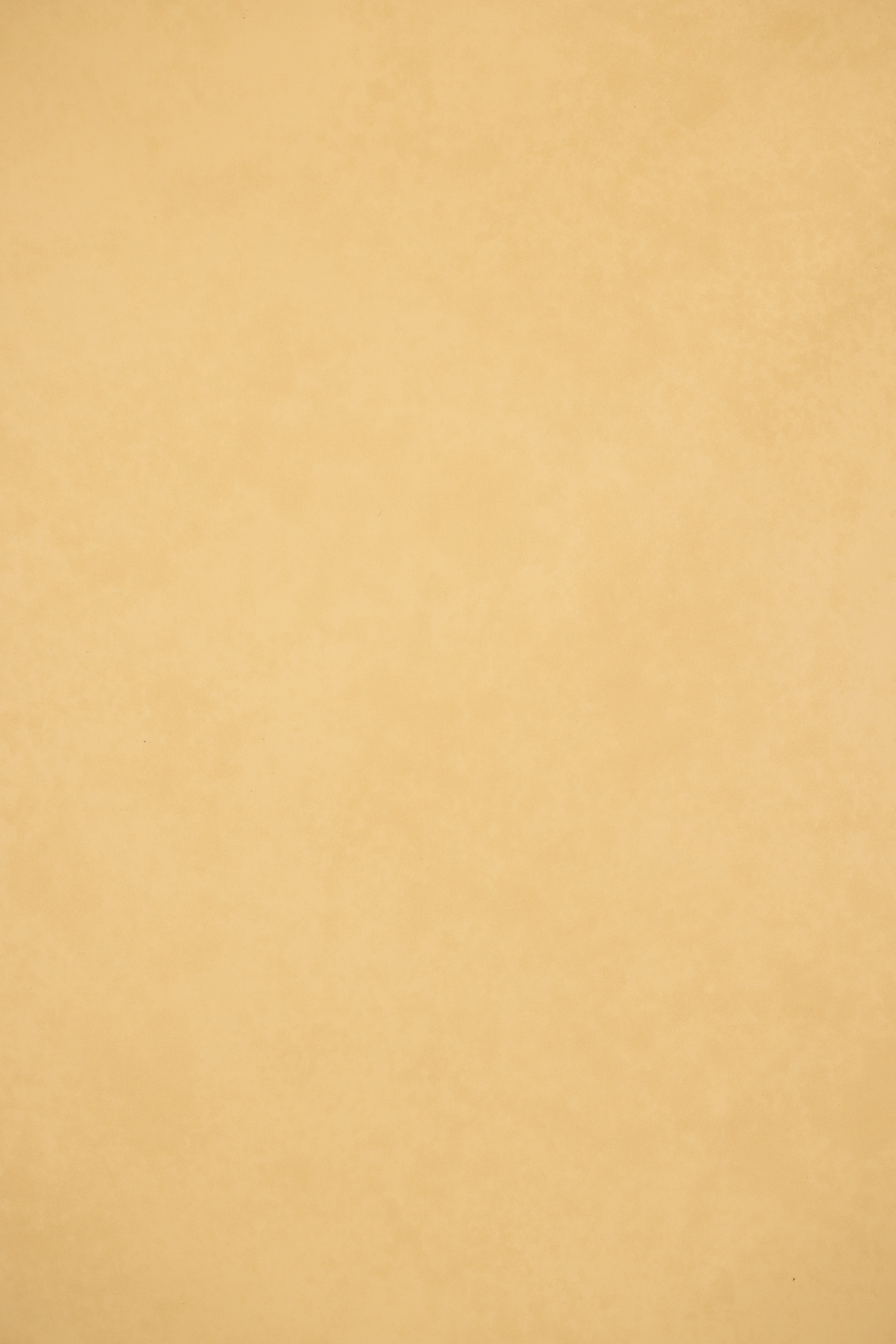 Sand Beige Painted Canvas Backdrop(RN#440) view 2