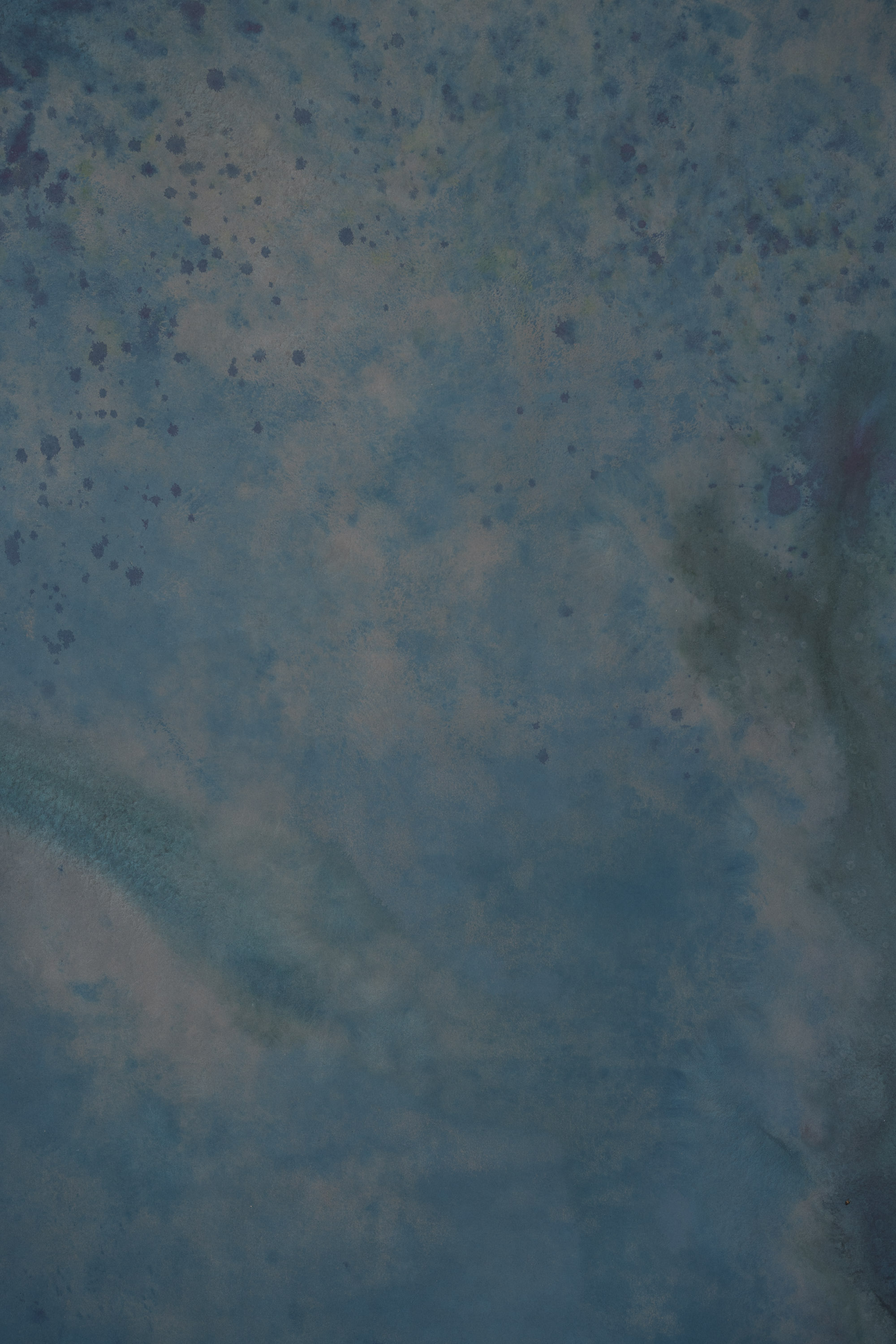 Pickled Bluewood Canvas Backdrop( RN442) view 2