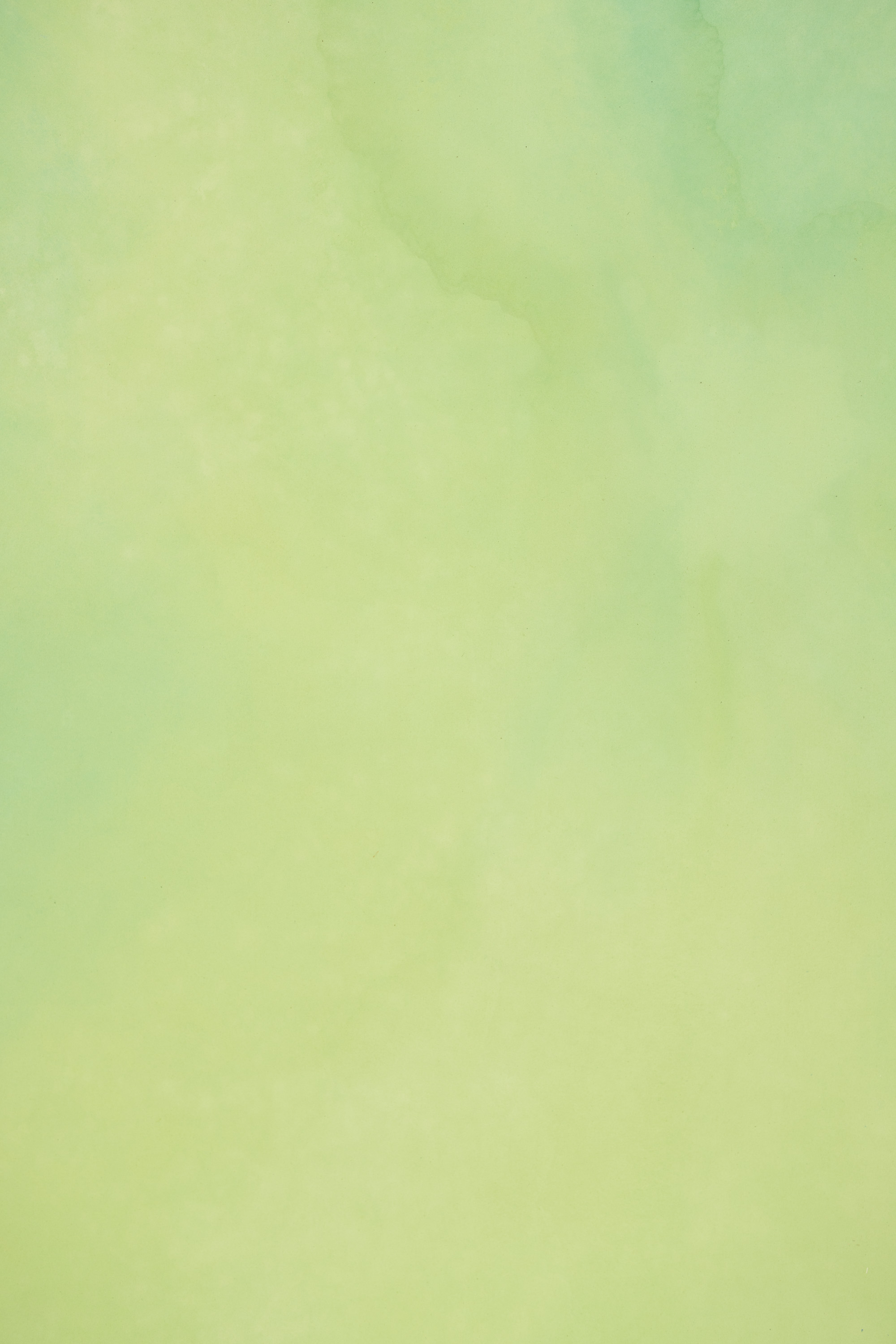 Pale Olive Painted Canvas Backdrop (RN#439) view 2
