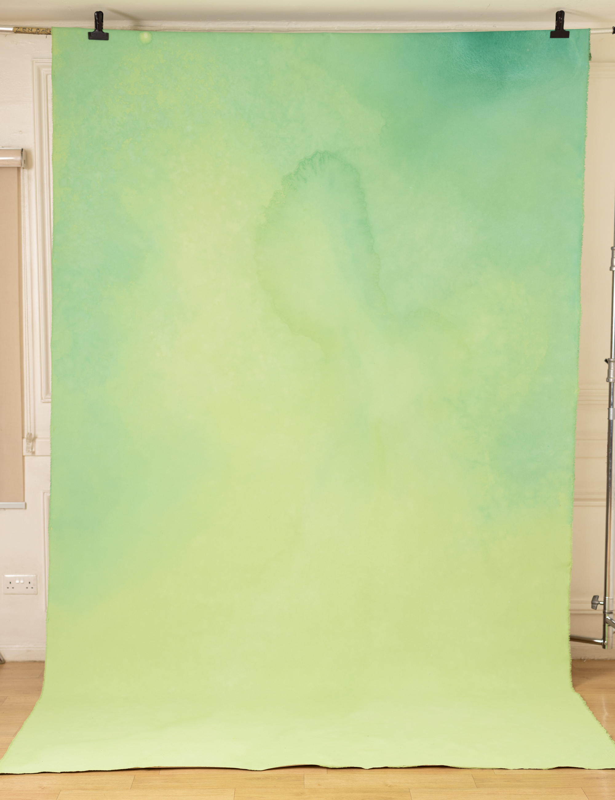 Pale Olive Painted Canvas Backdrop (RN#439) view 5