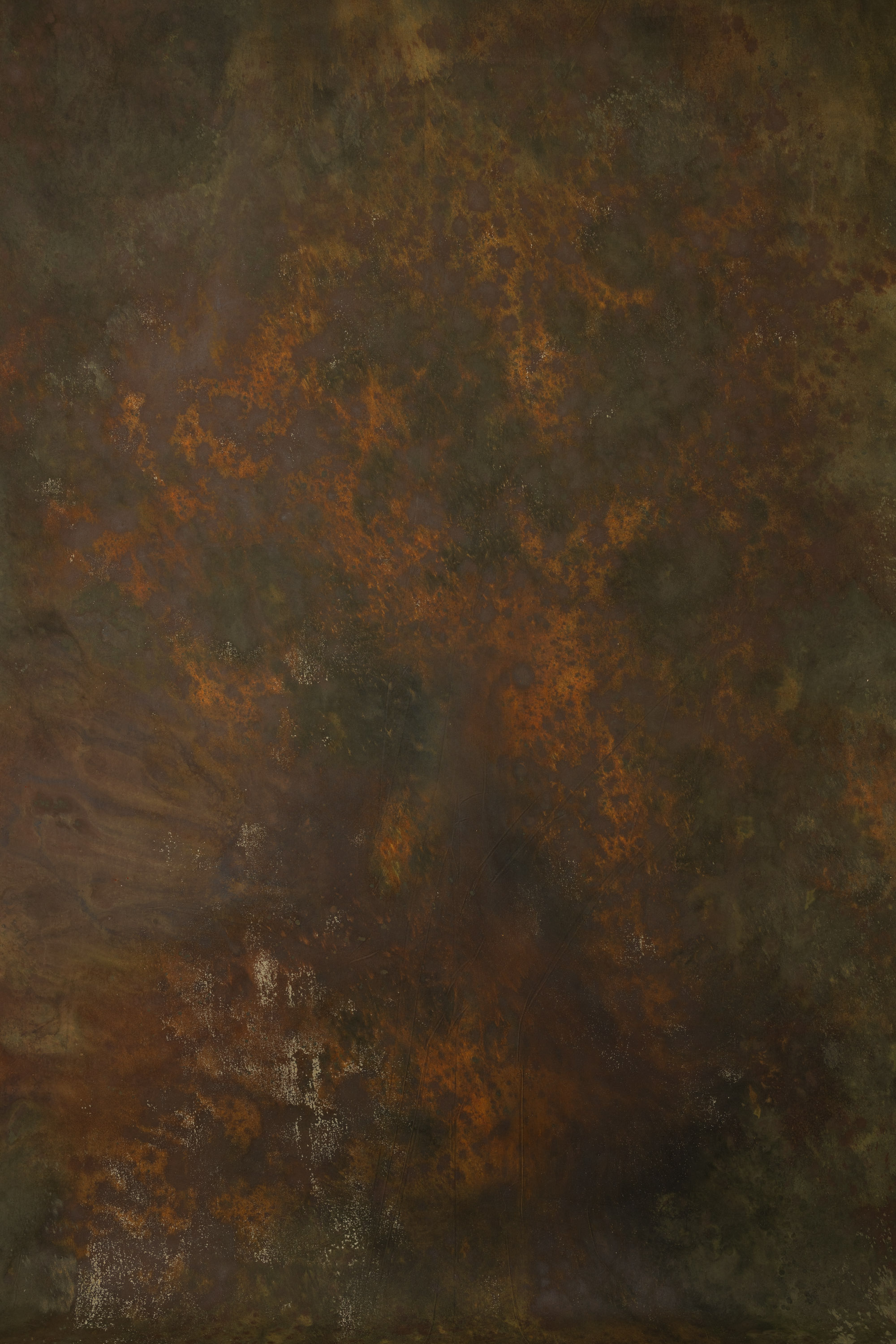 Burning Bush and Flax Painted Canvas Backdrop (SL#407)