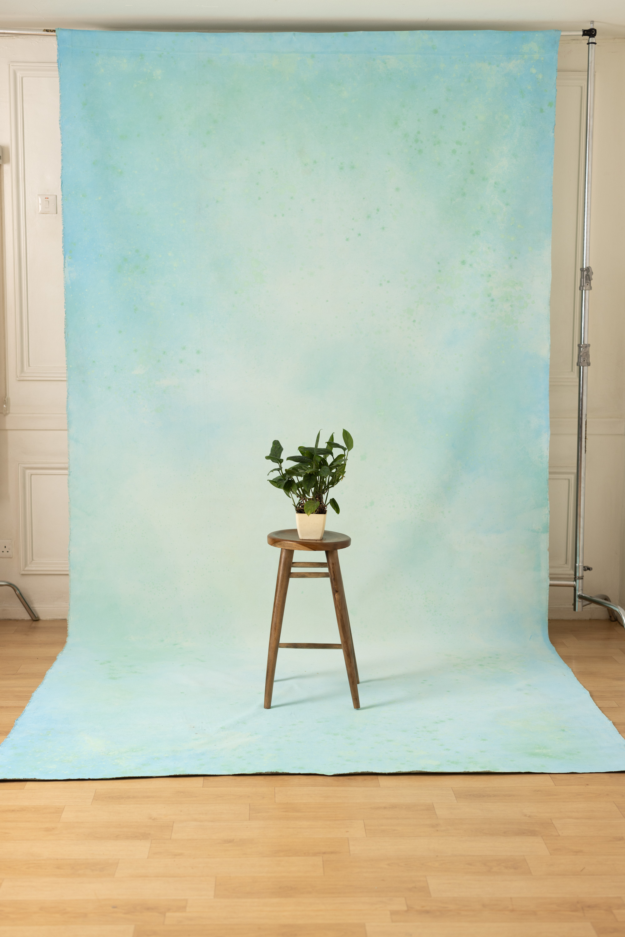 Opal Painted Canvas Backdrop (RN#424) view 3
