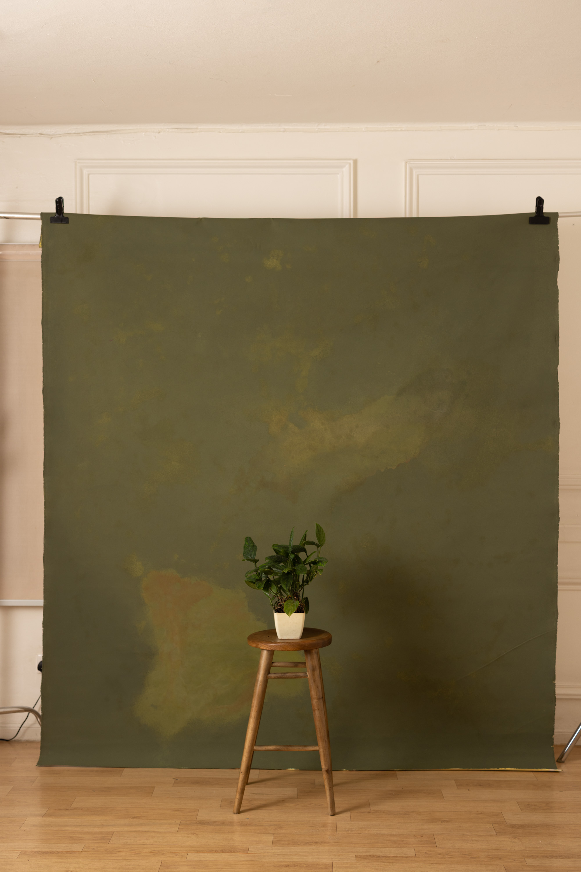 Army Land Painted Canvas Backdrop (RN#363) view 3