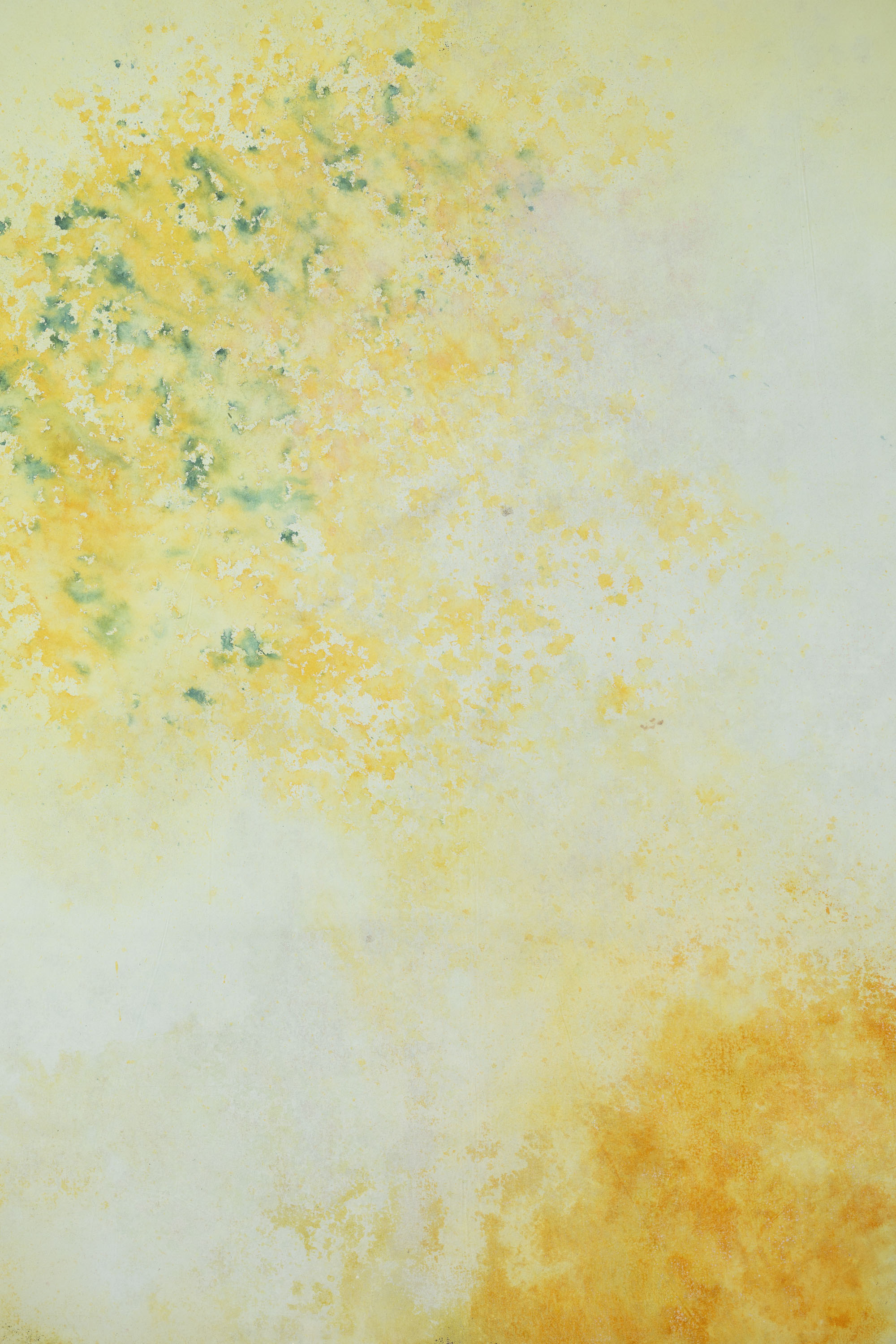 Wheatfield and Cloudy Painted Canvas Backdrop (RN#409)