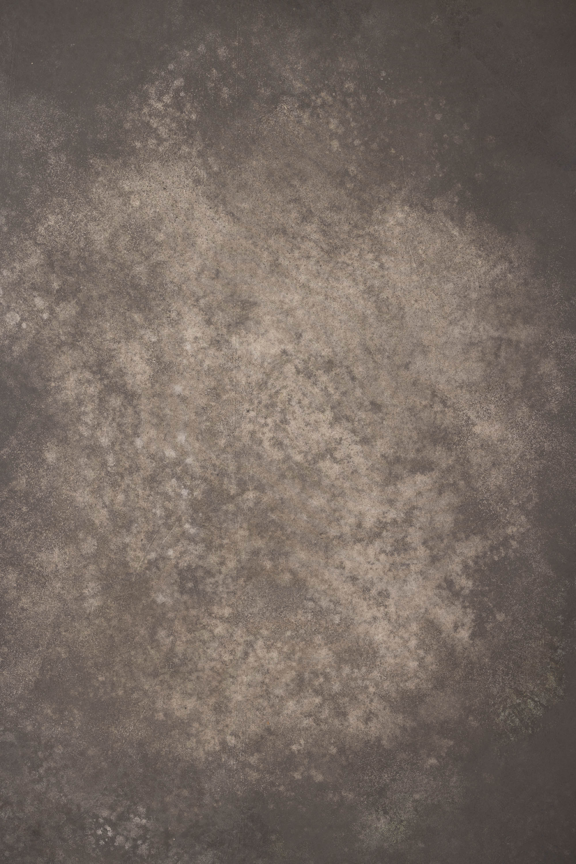 Wheatfield and Cloudy Painted Canvas Backdrop (RN#409) view 2