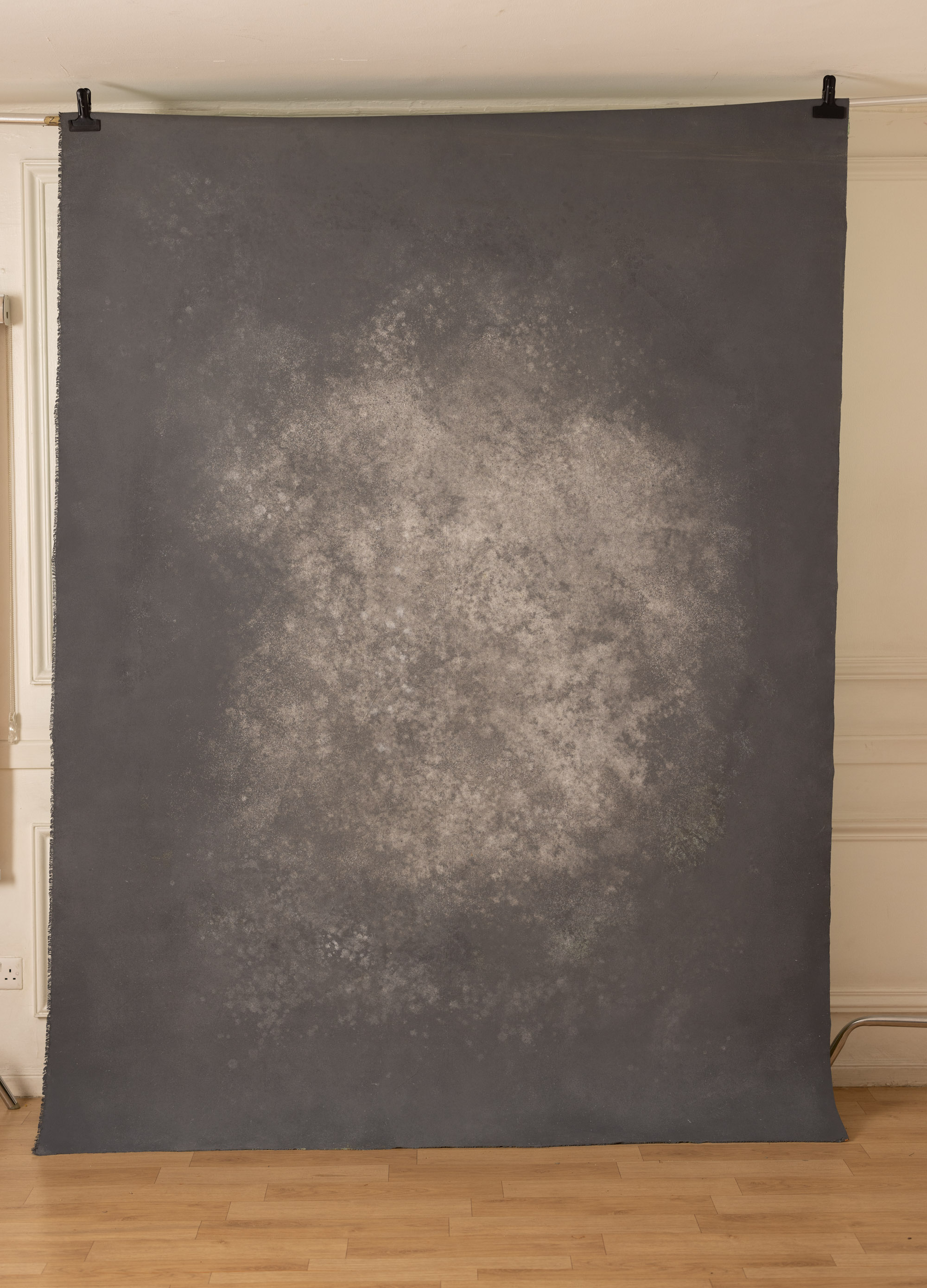 Wheatfield and Cloudy Painted Canvas Backdrop (RN#409) view 4