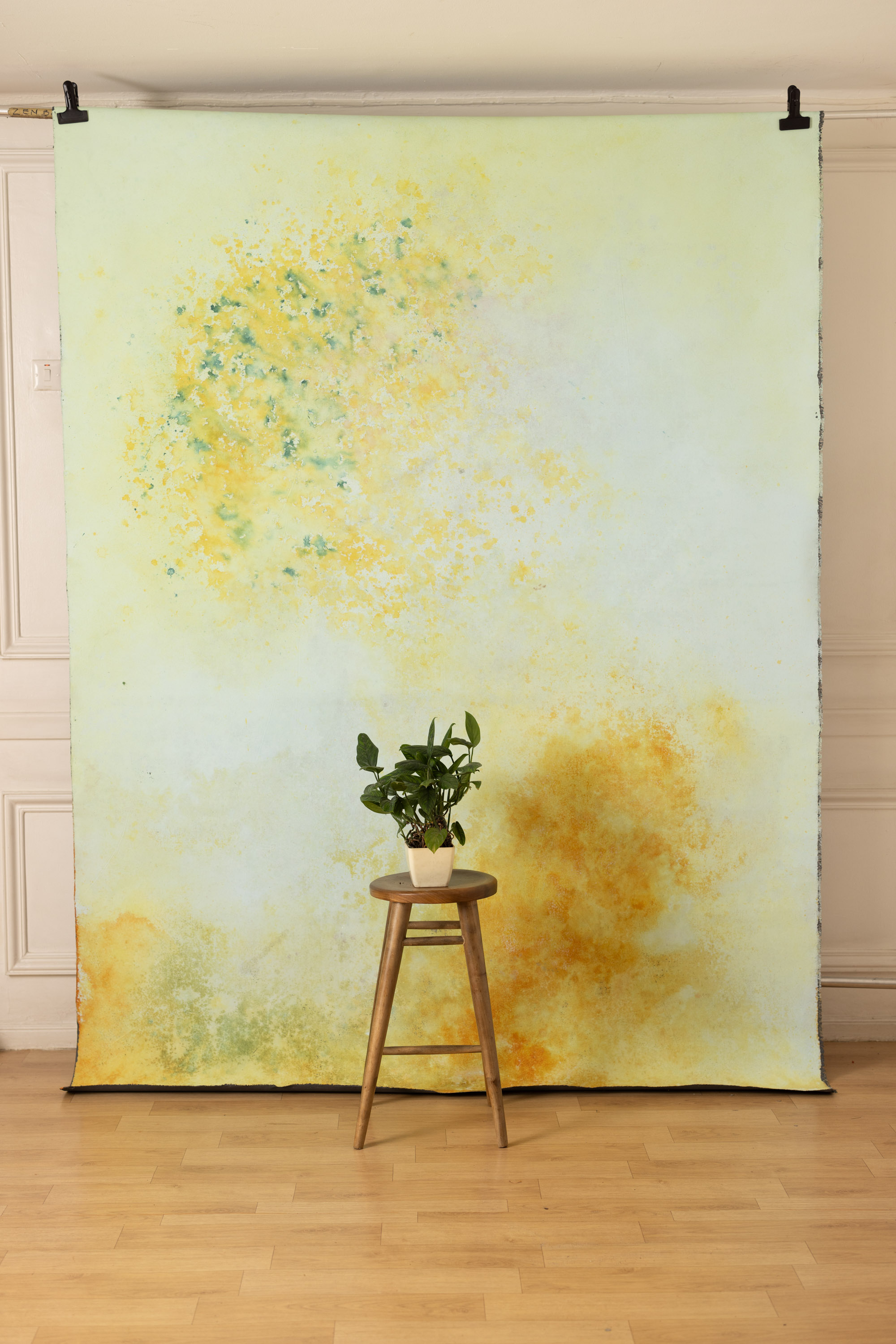 Wheatfield and Cloudy Painted Canvas Backdrop (RN#409) view 5