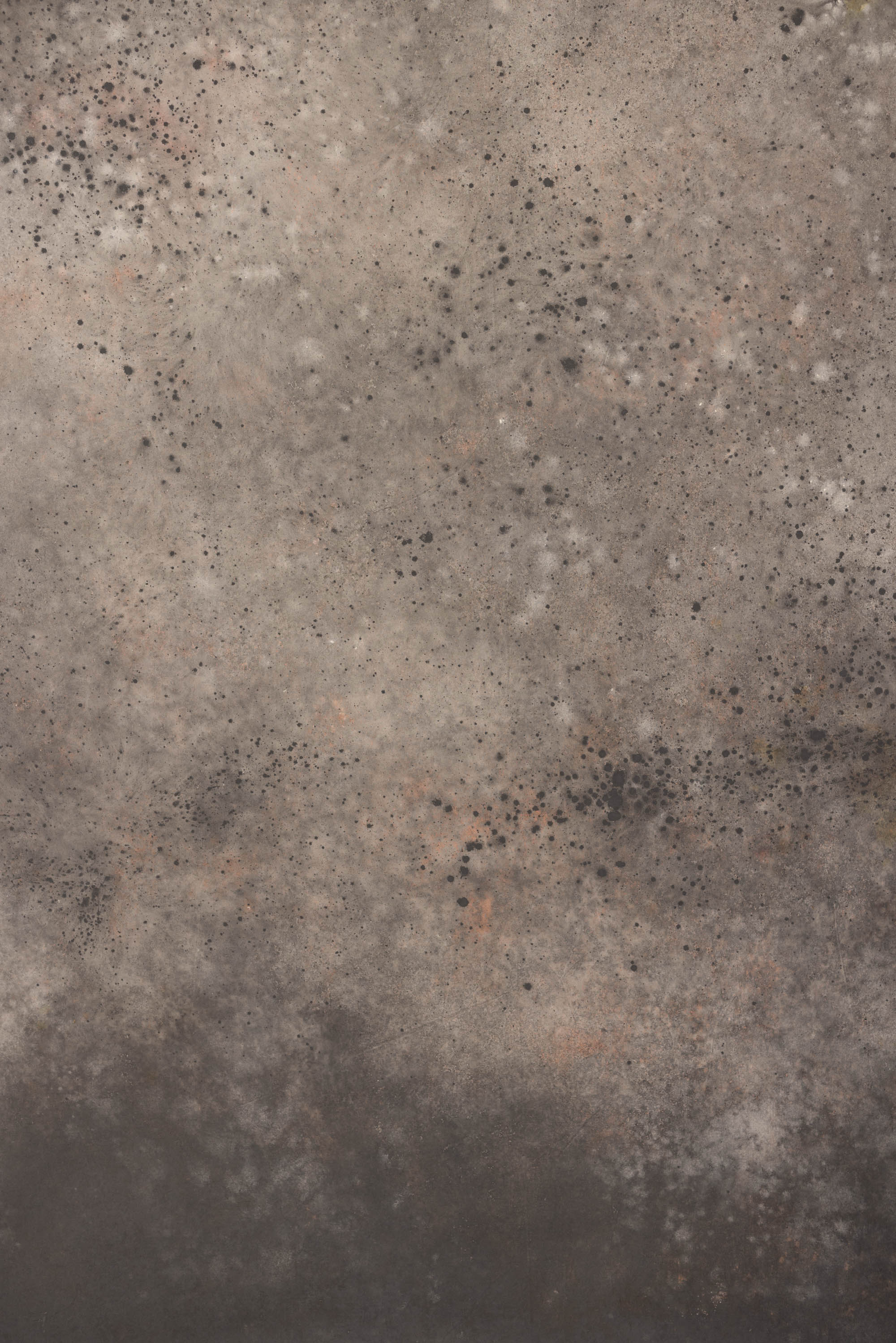 Cosmos and Martini Painted Canvas Backdrop (RN#408)