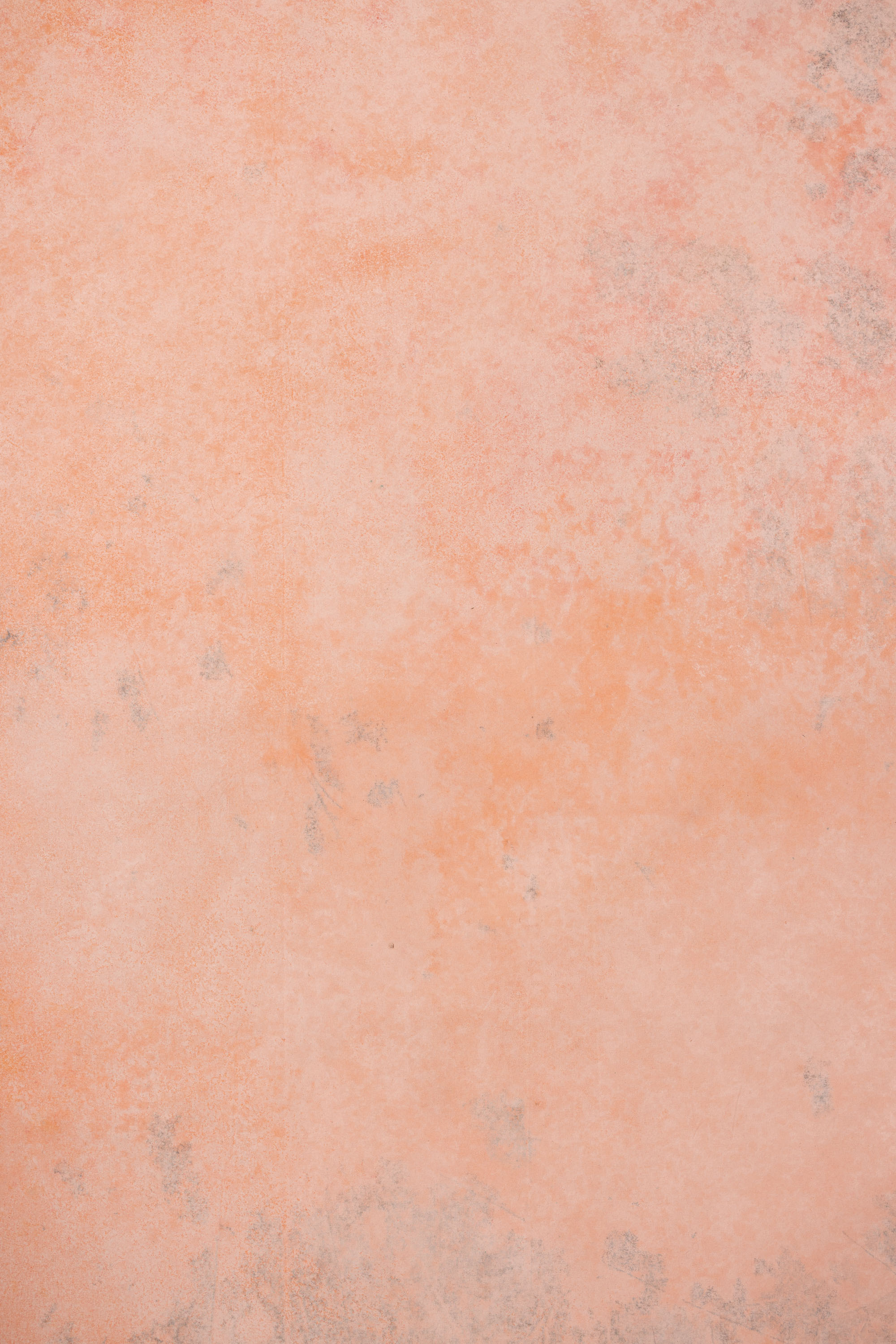 Cosmos and Martini Painted Canvas Backdrop (RN#408) view 2