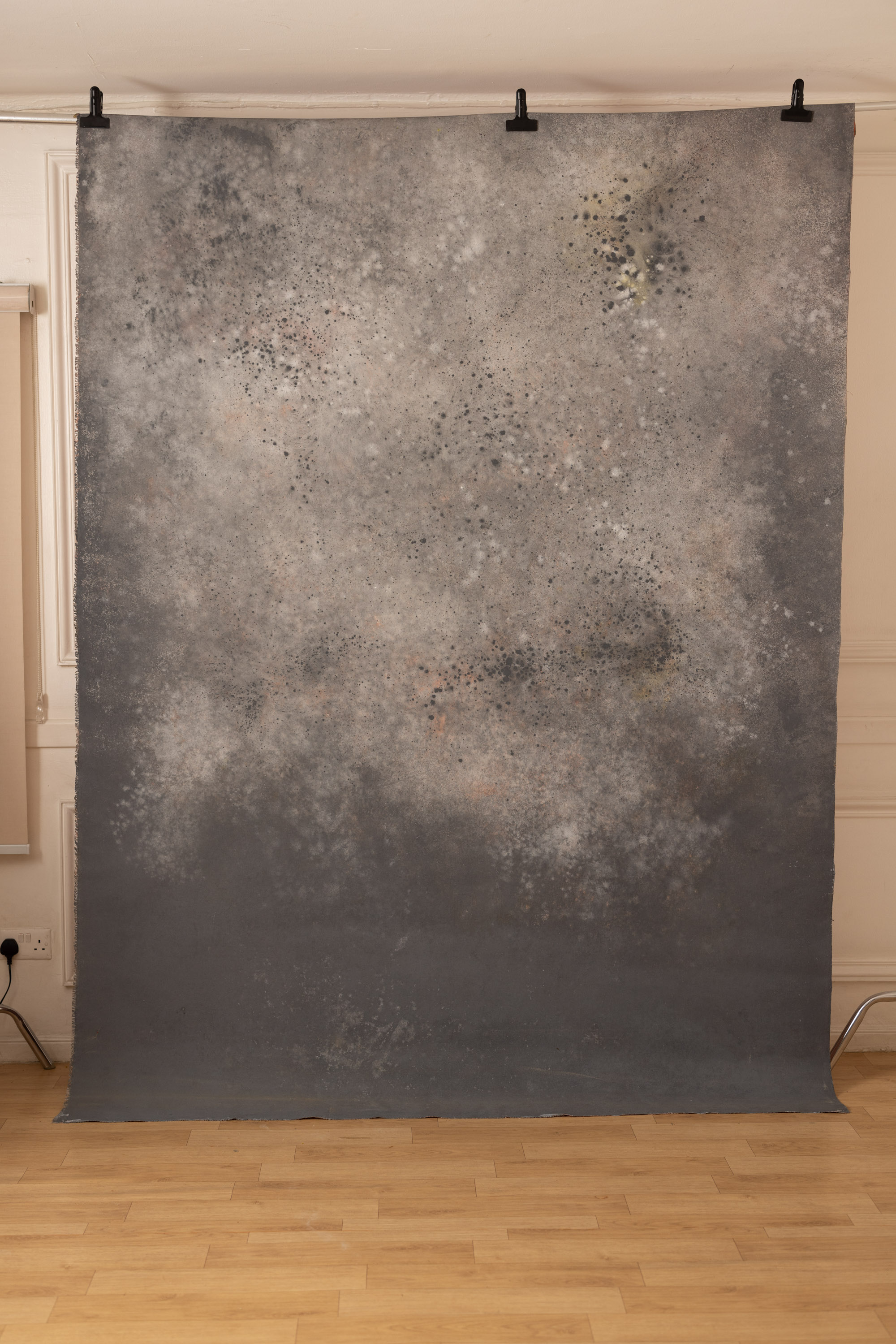 Cosmos and Martini Painted Canvas Backdrop (RN#408) view 3