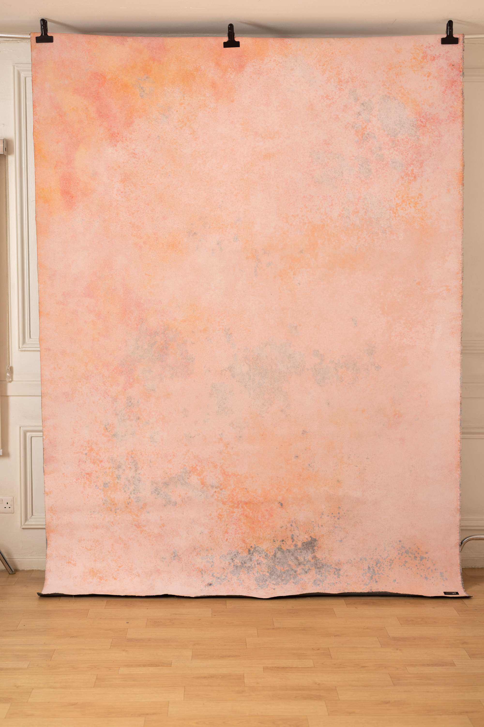 Cosmos and Martini Painted Canvas Backdrop (RN#408) view 4