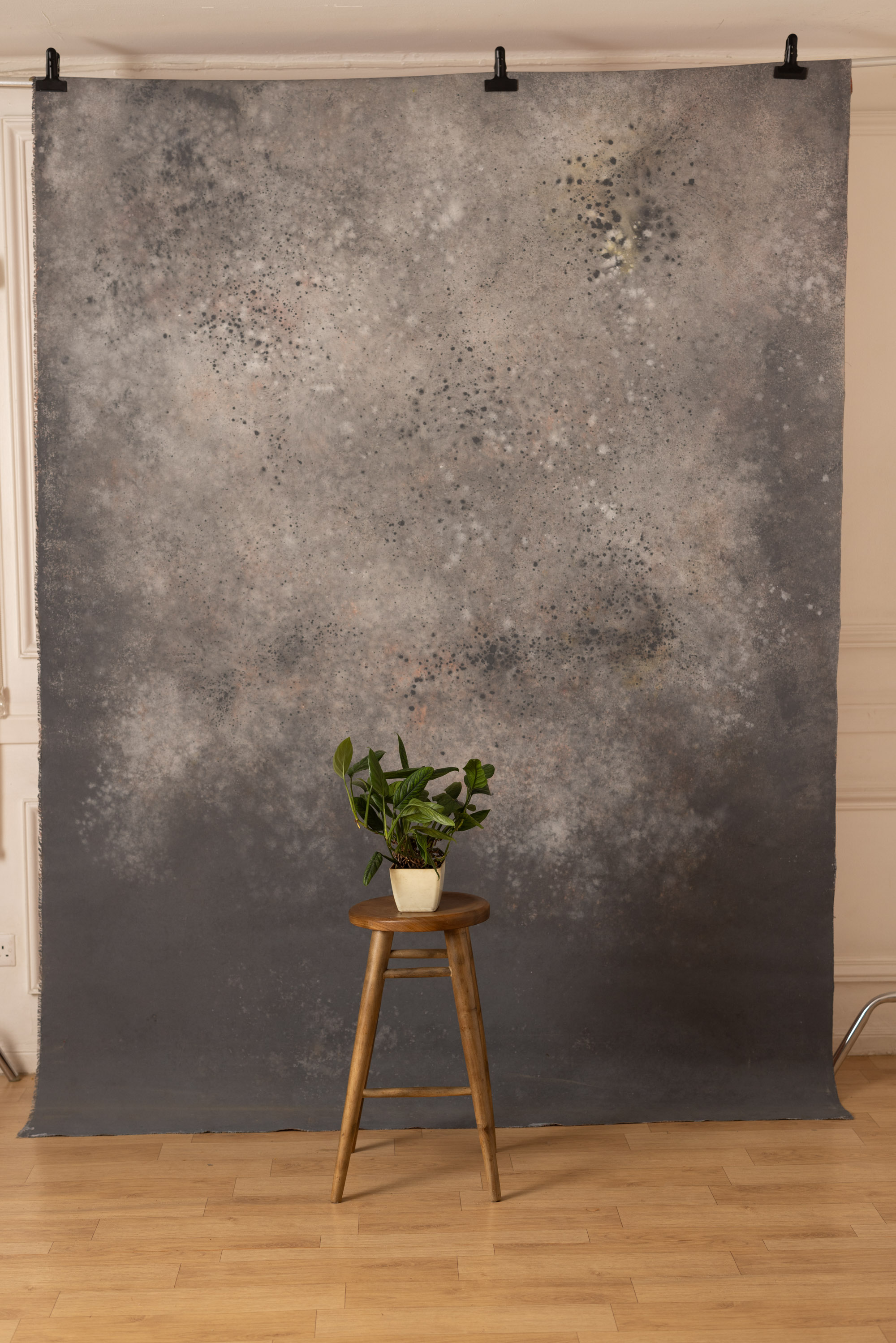 Cosmos and Martini Painted Canvas Backdrop (RN#408) view 5