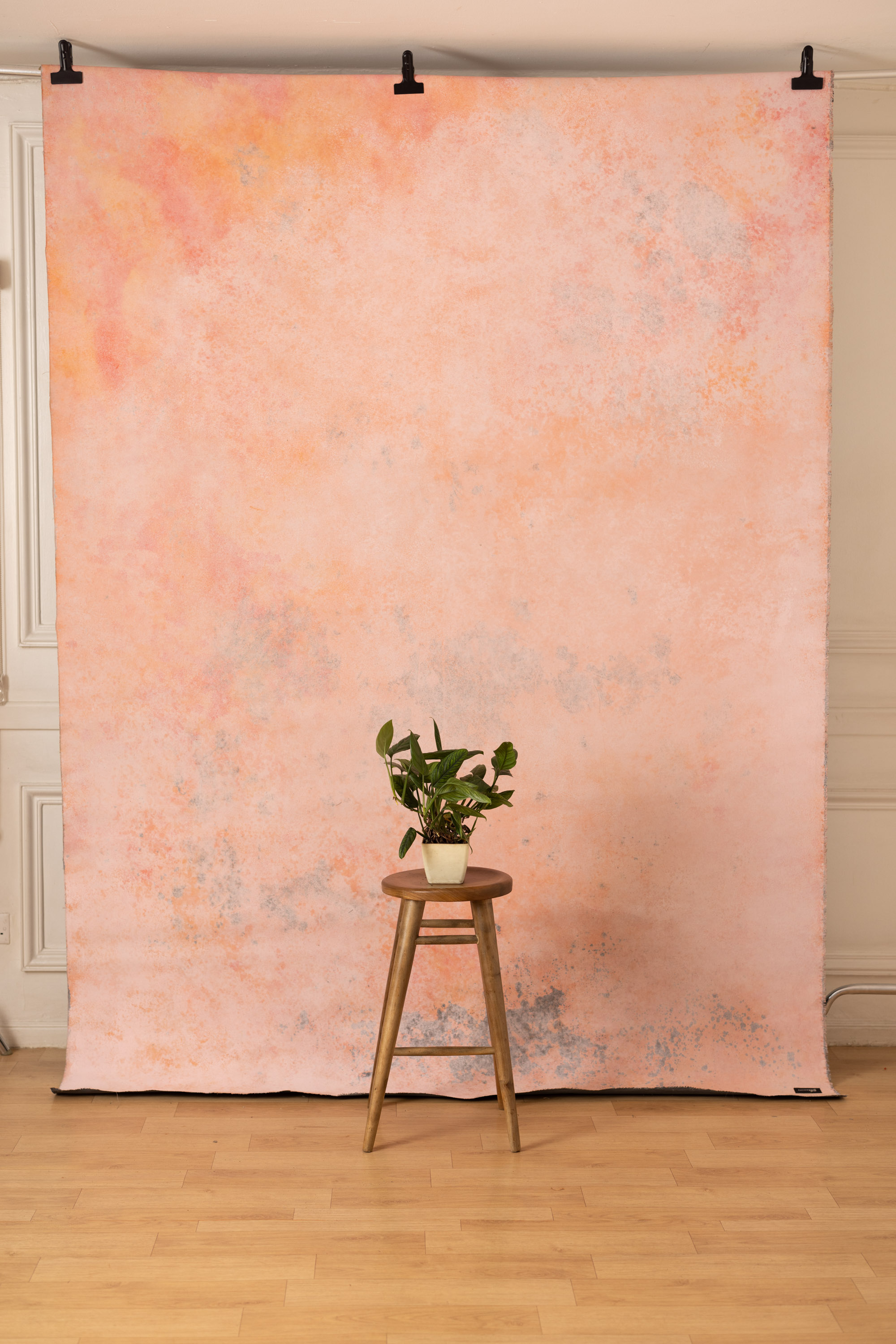 Cosmos and Martini Painted Canvas Backdrop (RN#408) view 6