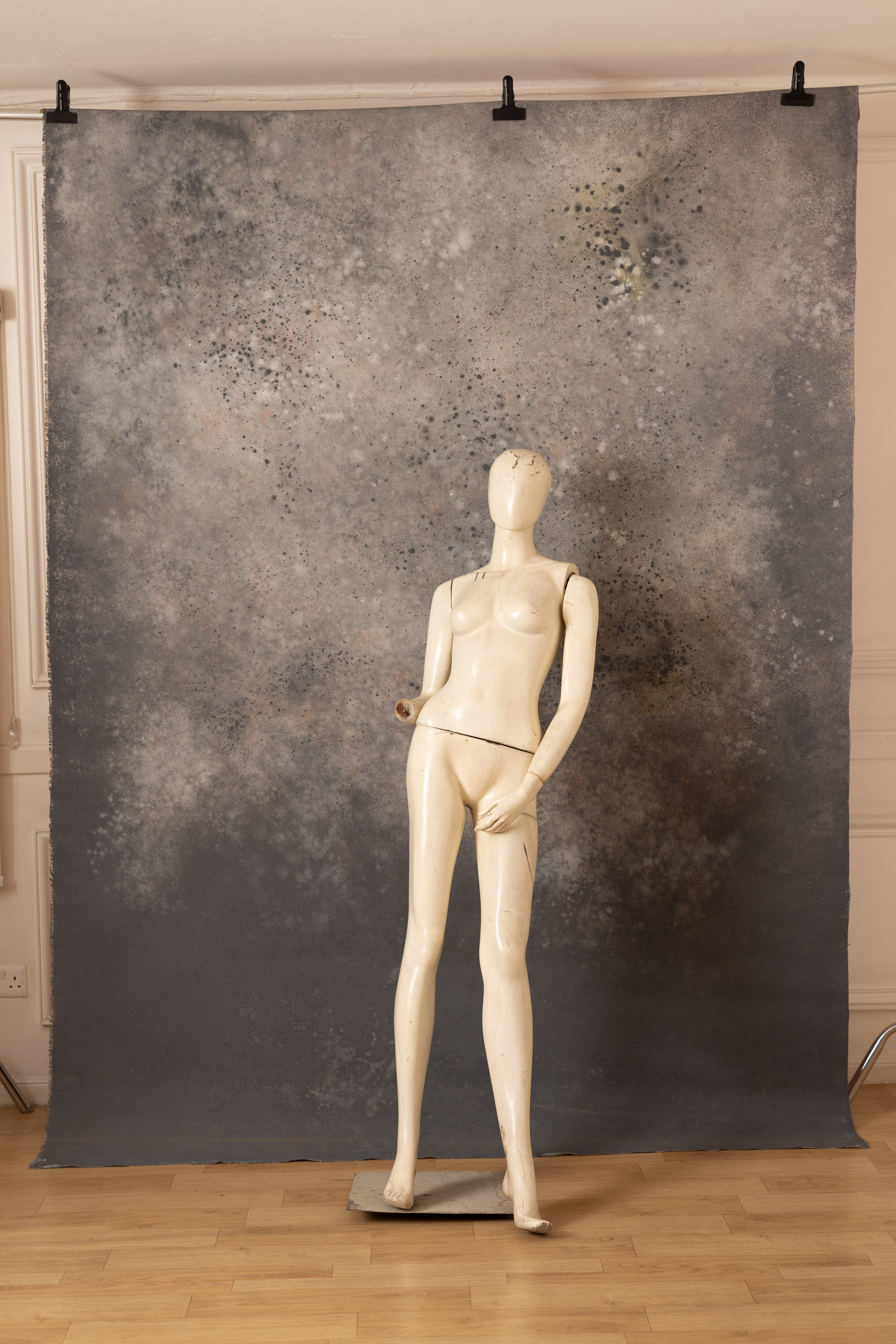 Cosmos and Martini Painted Canvas Backdrop (RN#408) view 7