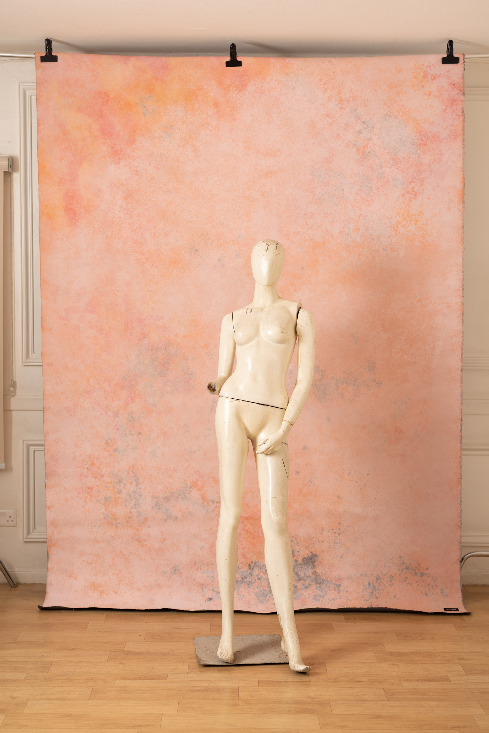 Cosmos and Martini Painted Canvas Backdrop (RN#408) view 8