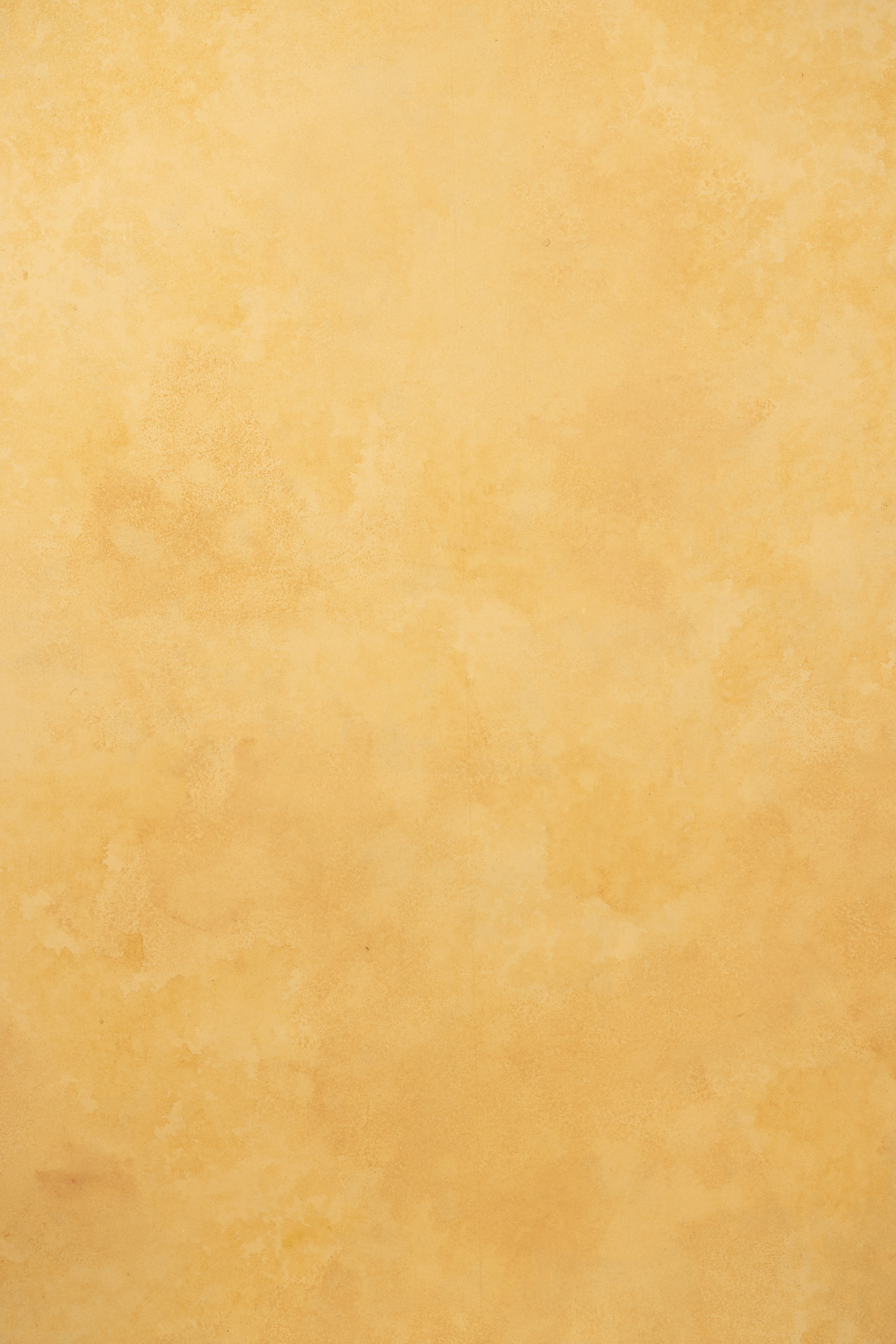 Sand and Muddy Waters Painted Canvas Backdrop (RN#417)