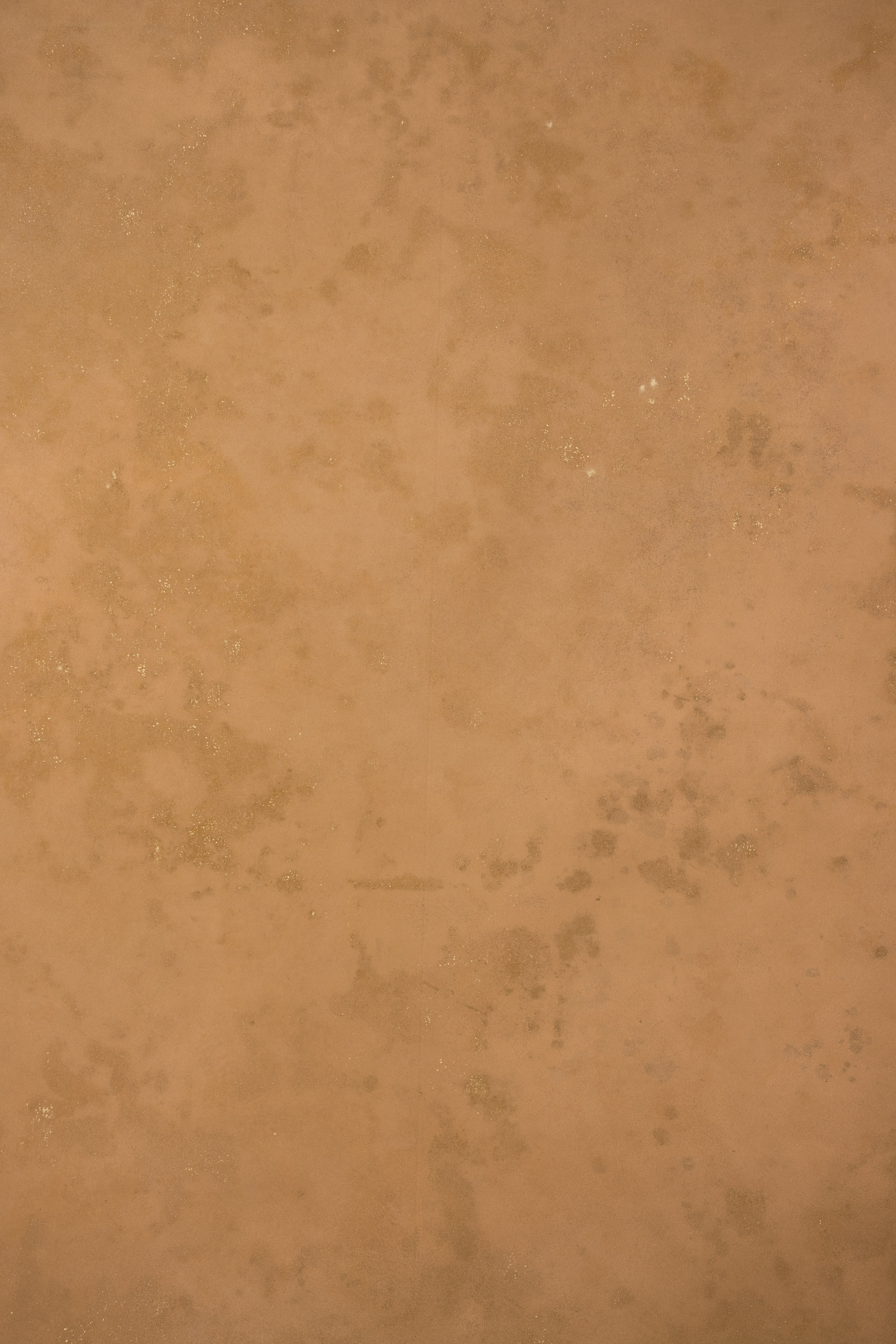 Sand and Muddy Waters Painted Canvas Backdrop (RN#417) view 2