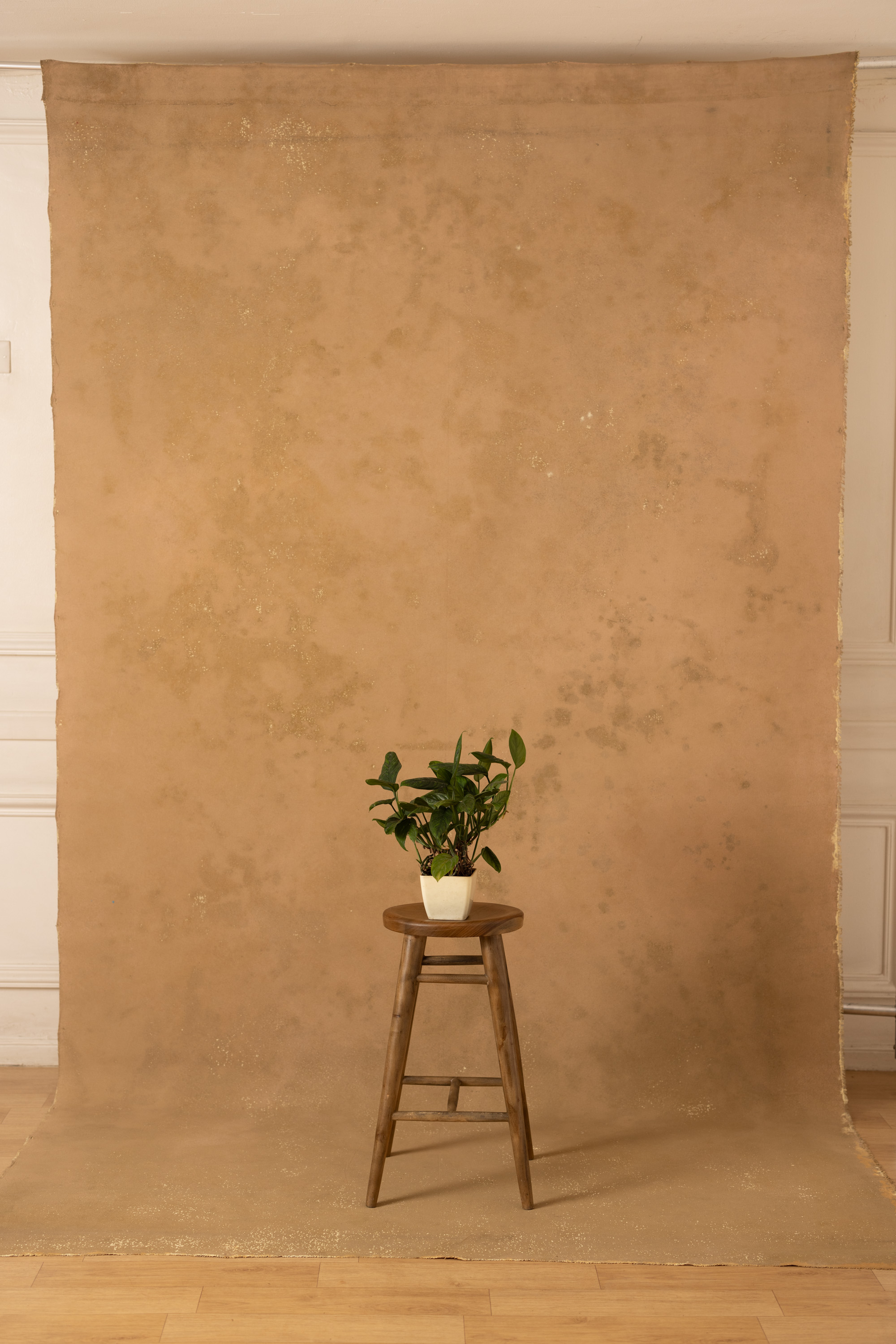Sand and Muddy Waters Painted Canvas Backdrop (RN#417) view 6