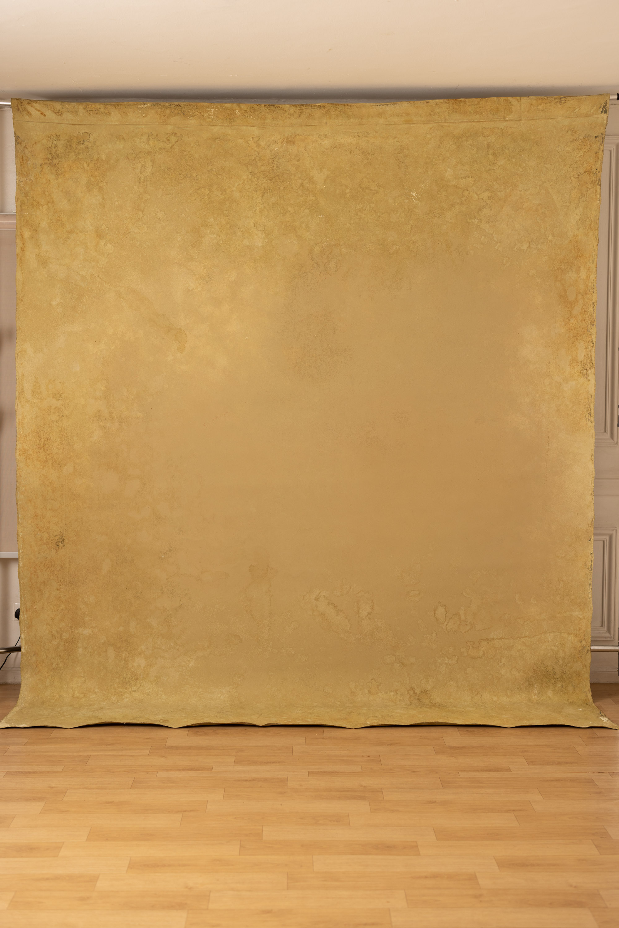 Whiskey and Desert Storm Painted Canvas Backdrop (SL#402) view 3