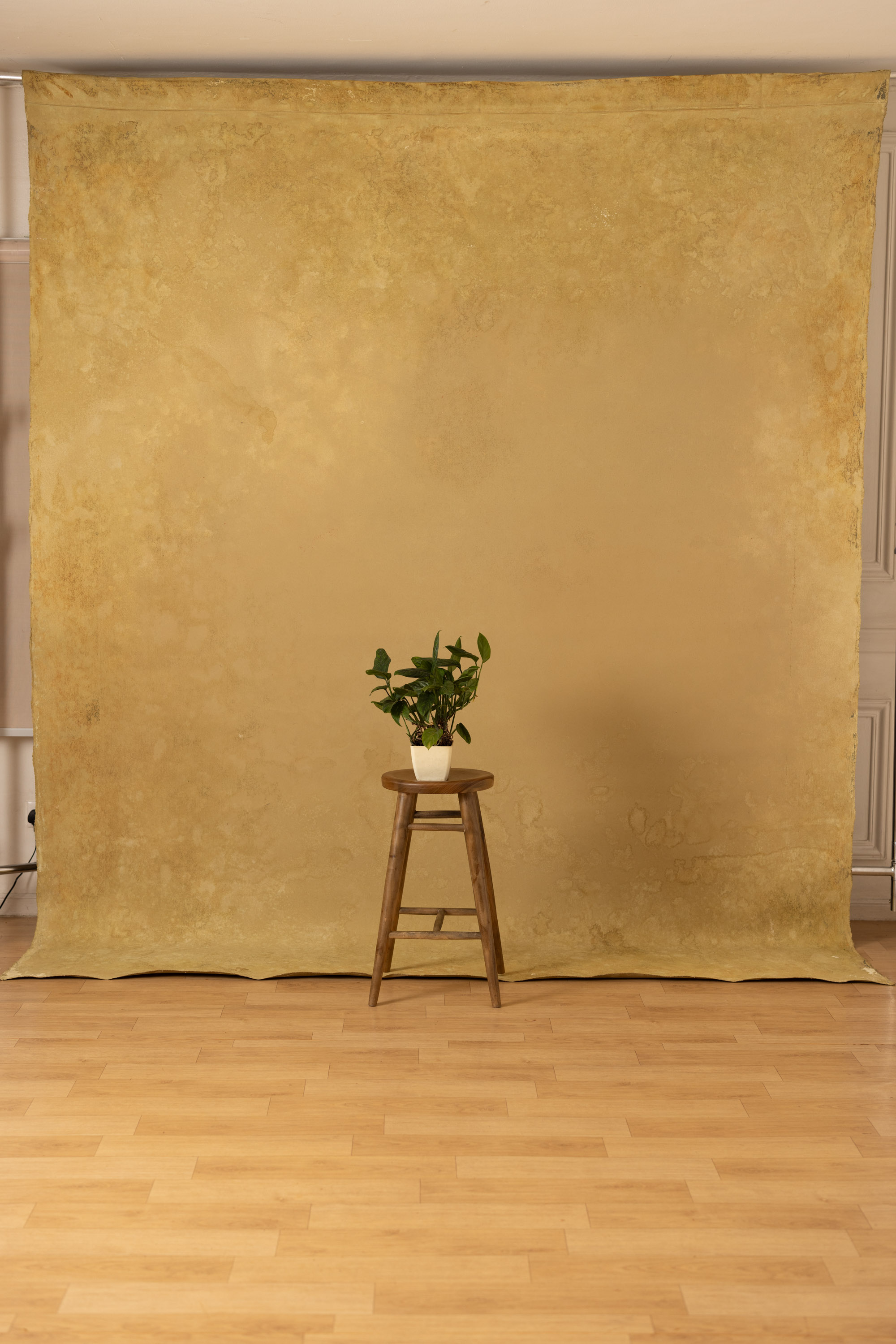 Whiskey and Desert Storm Painted Canvas Backdrop (SL#402) view 5