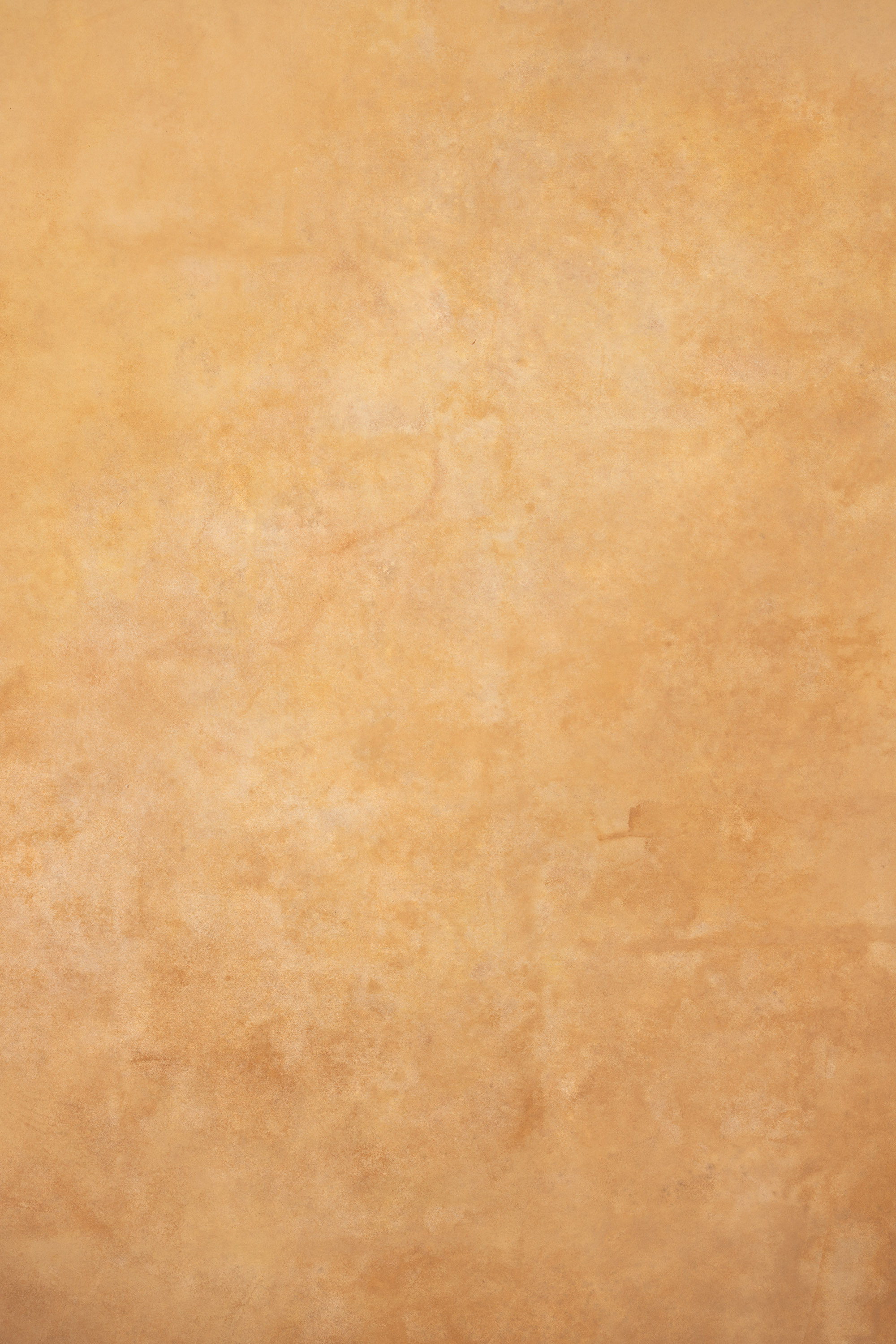 Cappuccino and Croc Painted Canvas Backdrop (RN#274)