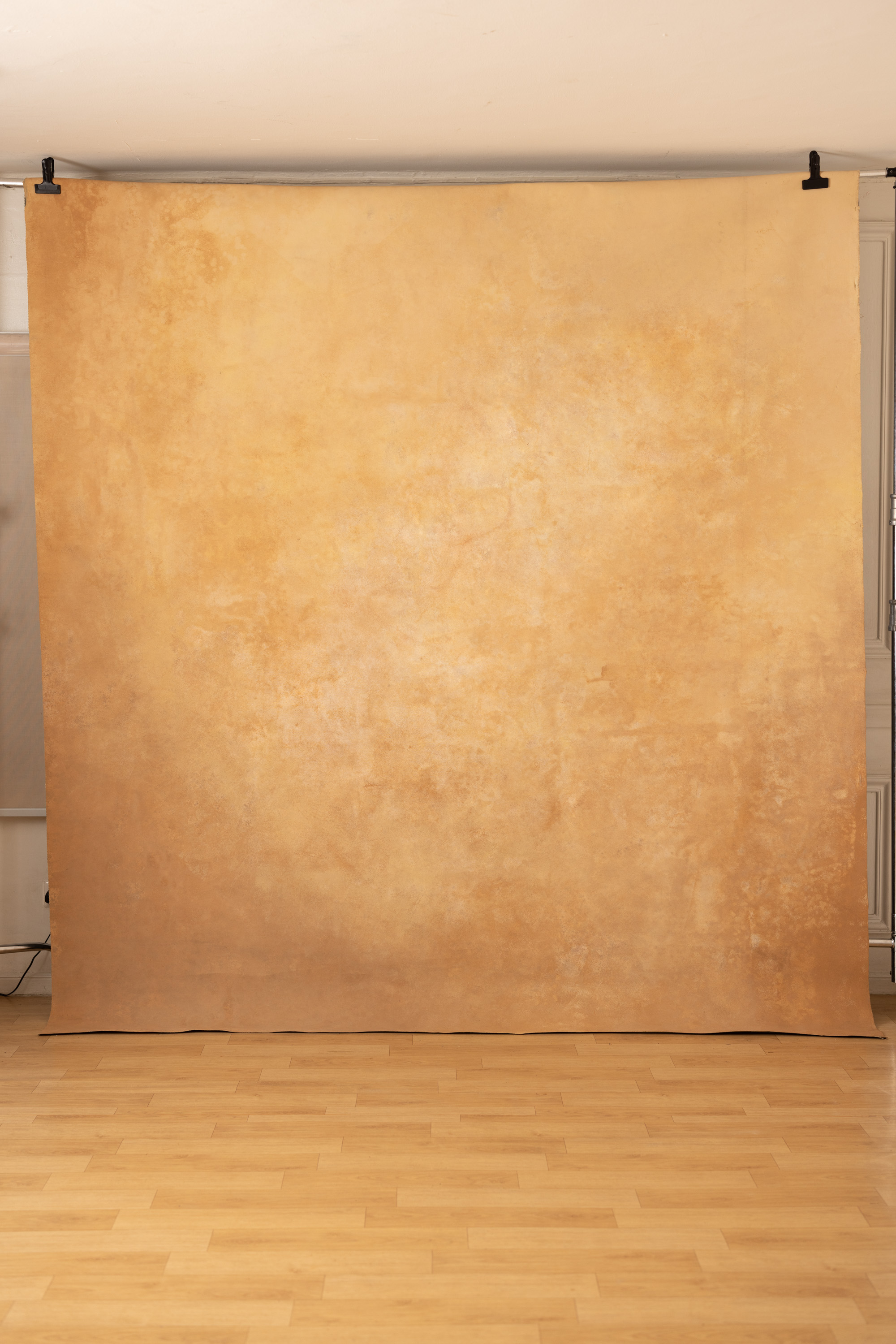Cappuccino and Croc Painted Canvas Backdrop (RN#274) view 3