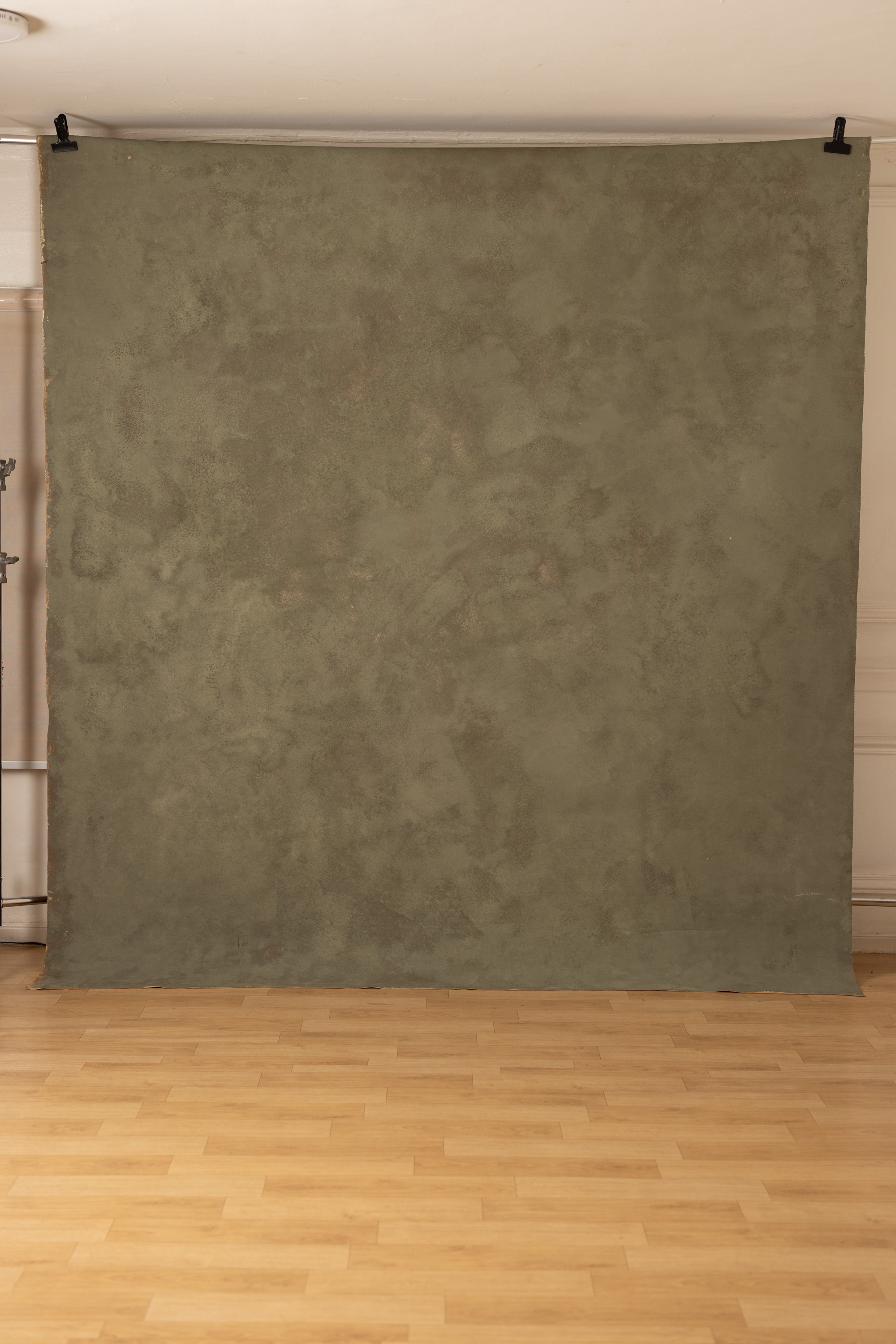 Cappuccino and Croc Painted Canvas Backdrop (RN#274) view 4