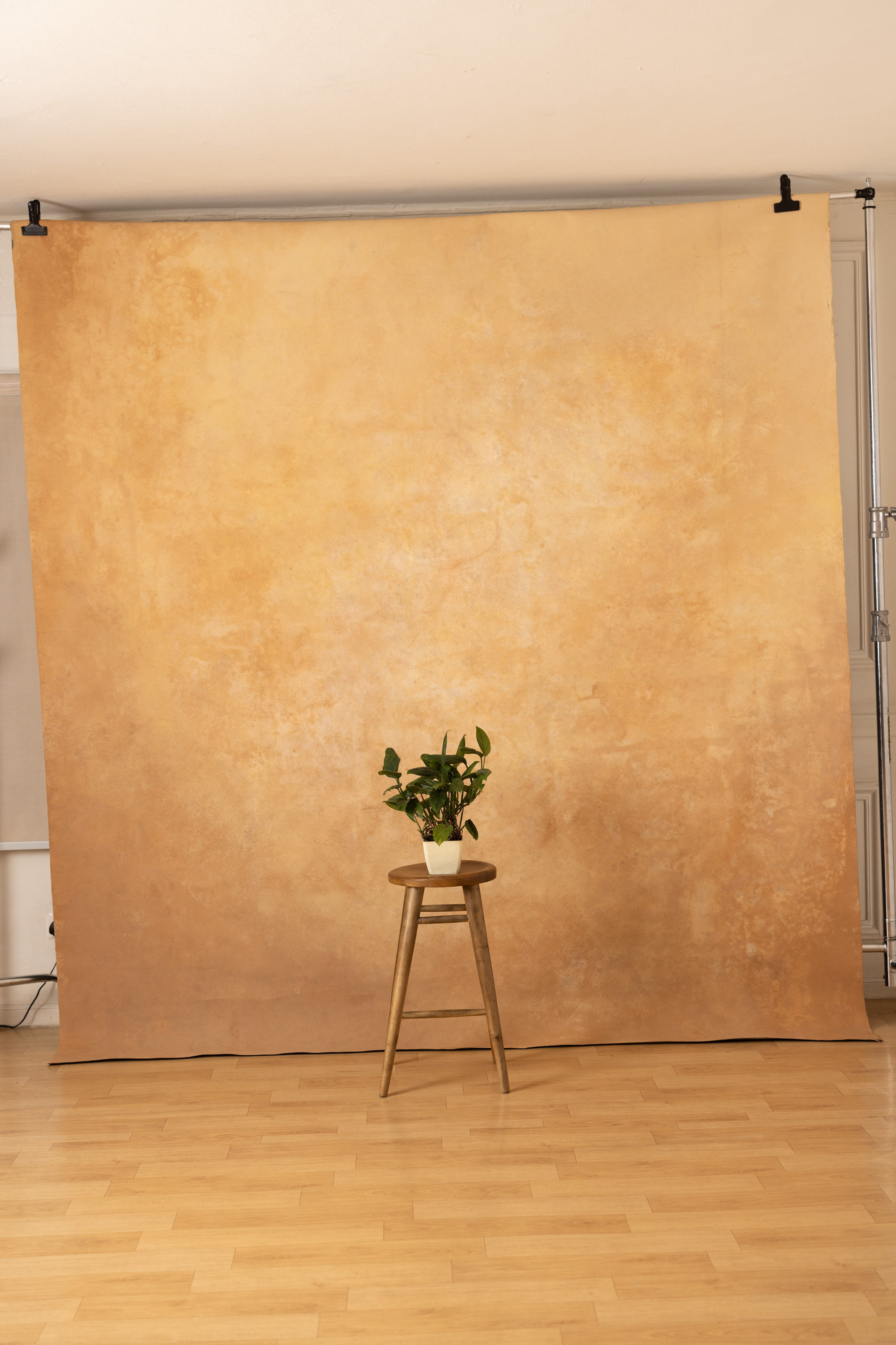 Cappuccino and Croc Painted Canvas Backdrop (RN#274) view 5