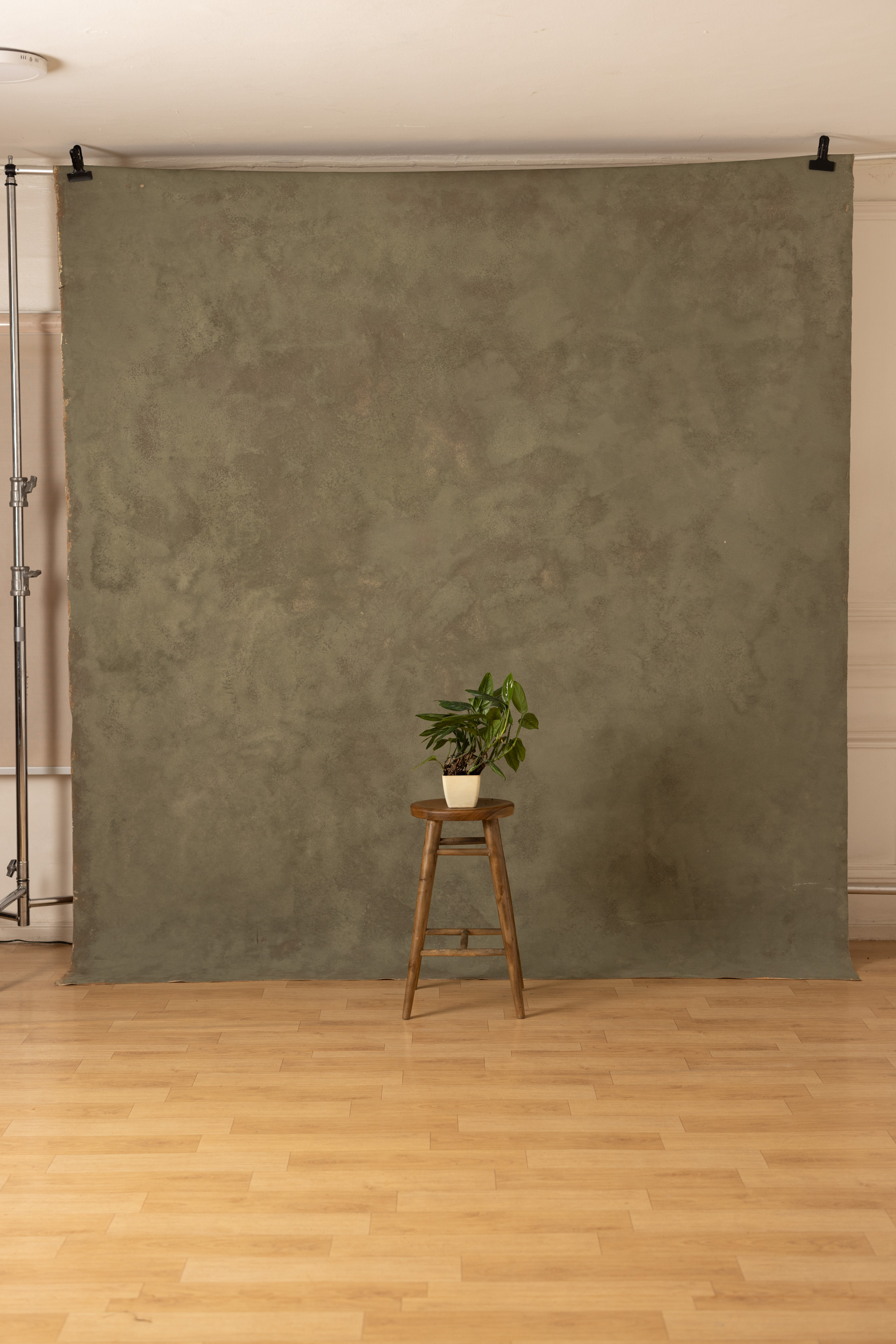 Cappuccino and Croc Painted Canvas Backdrop (RN#274) view 6