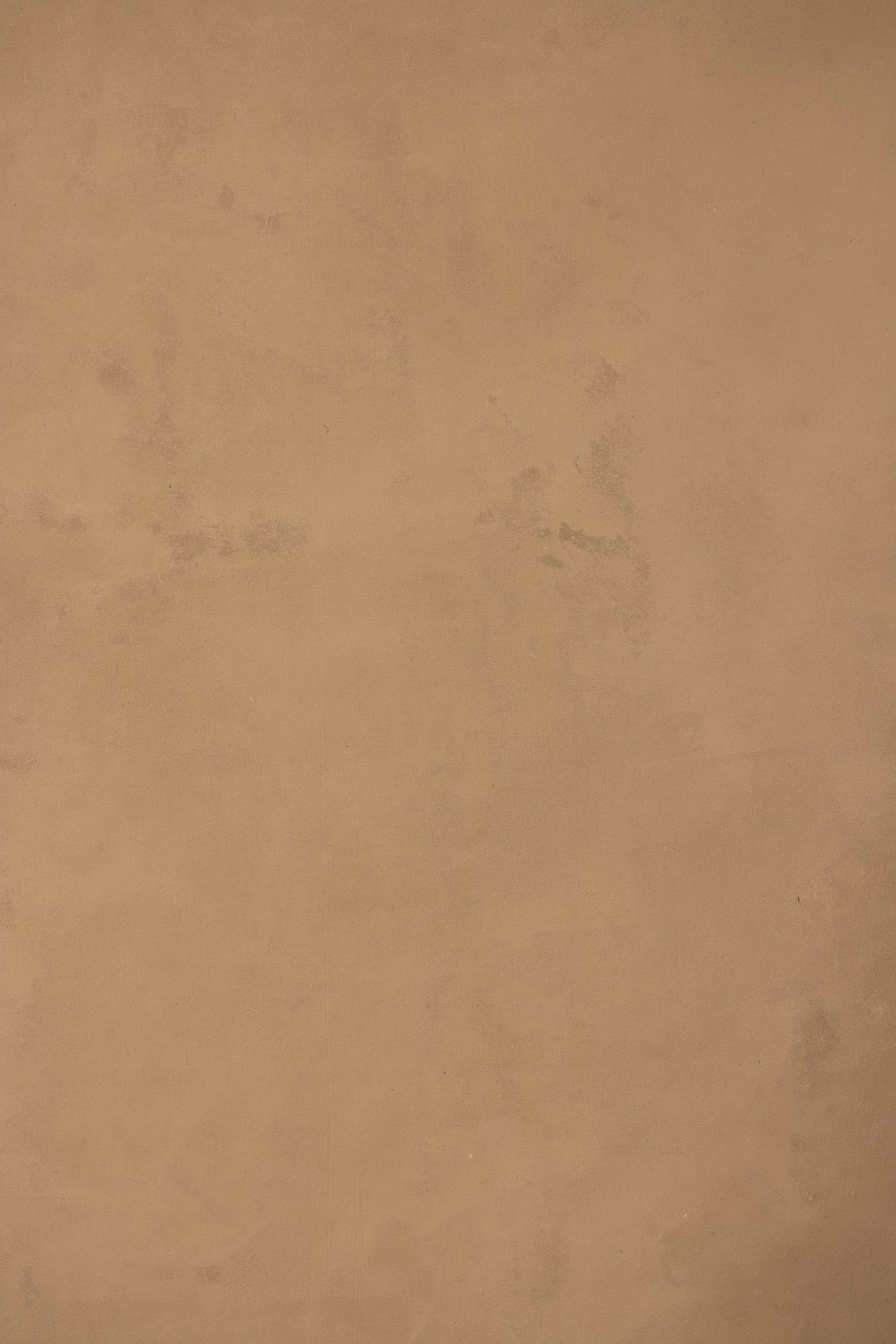 Burly Wood Painted Canvas Backdrop (RN#422)
