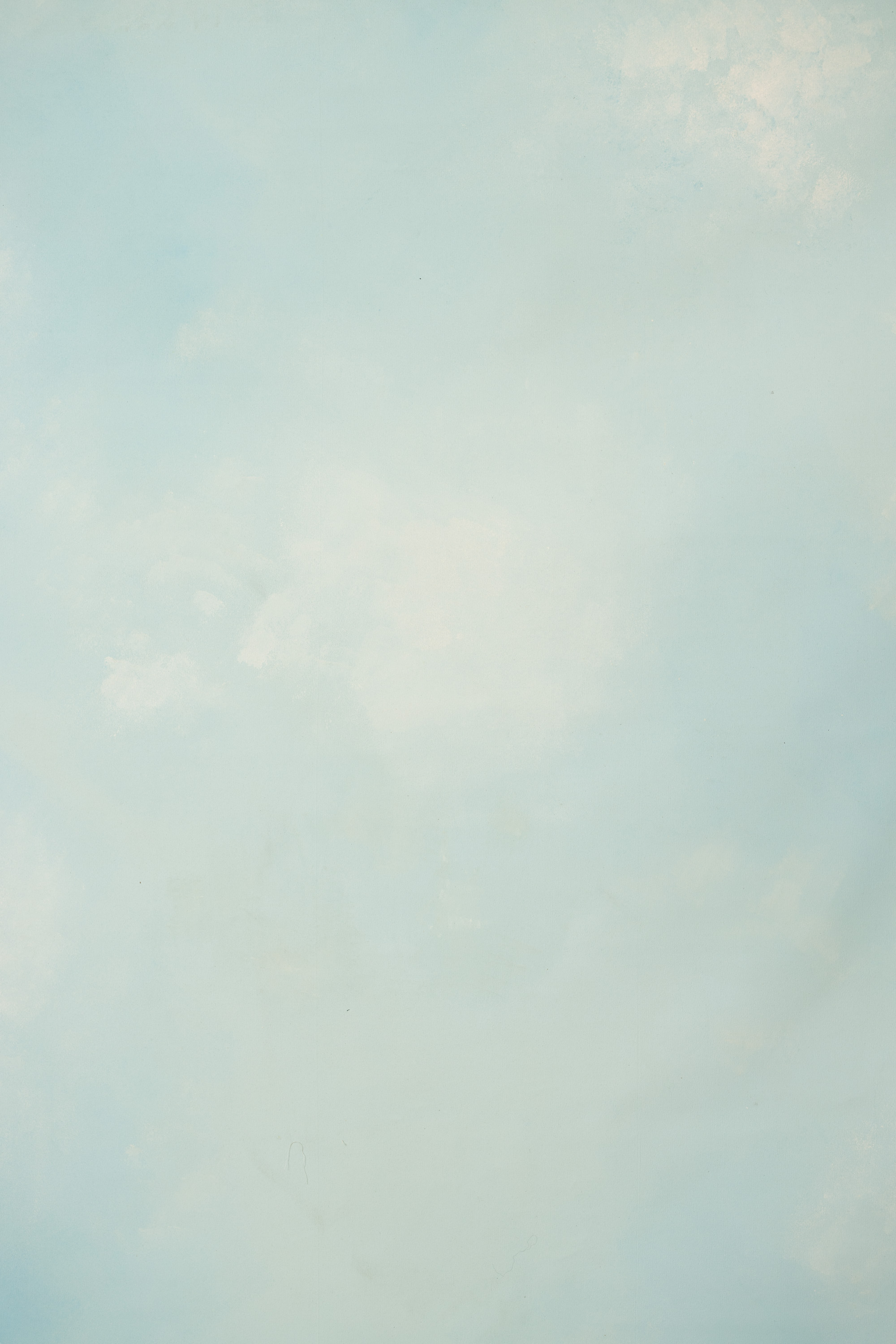Porcelain Painted Canvas Backdrop (RN#405)