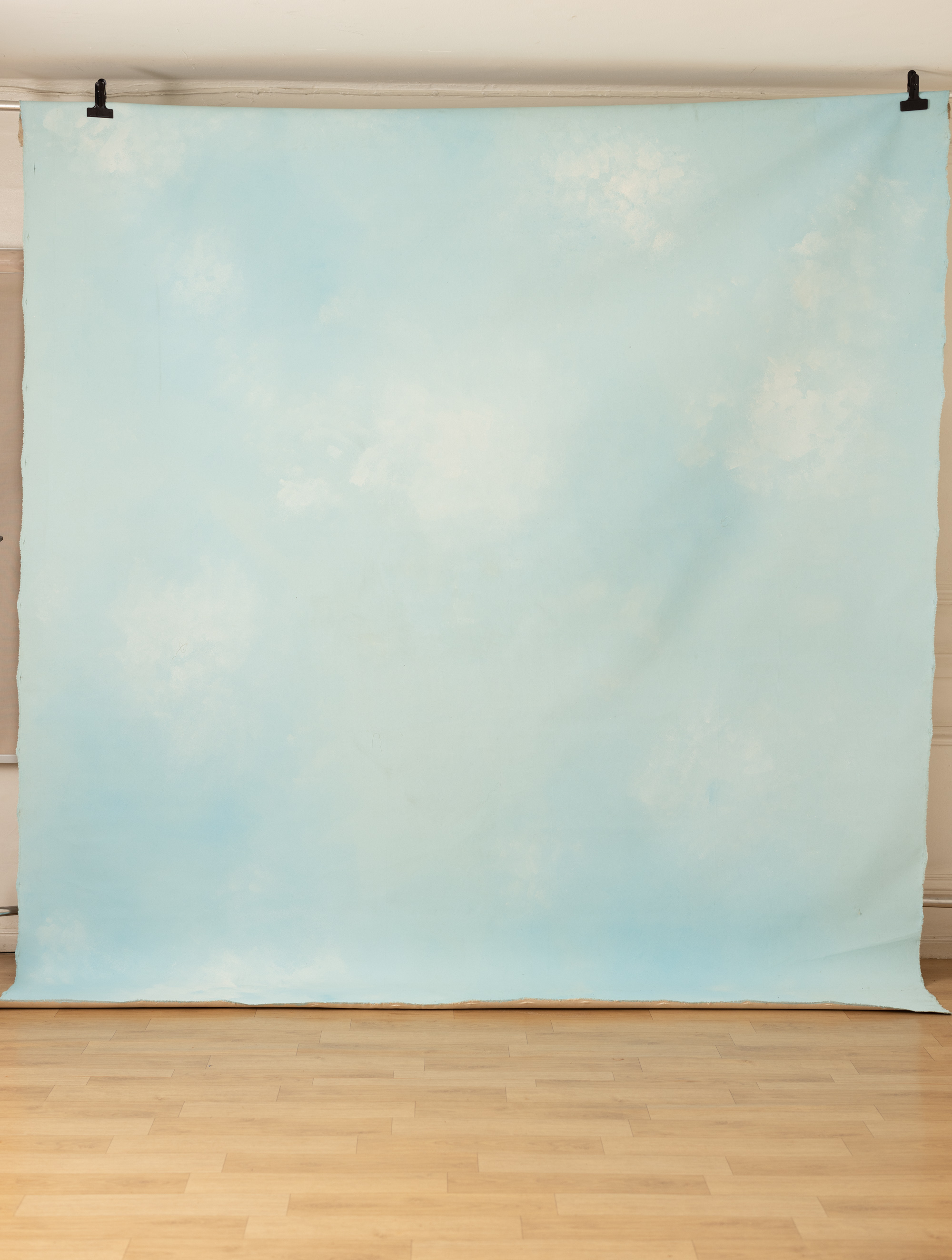 Porcelain Painted Canvas Backdrop (RN#405) view 2