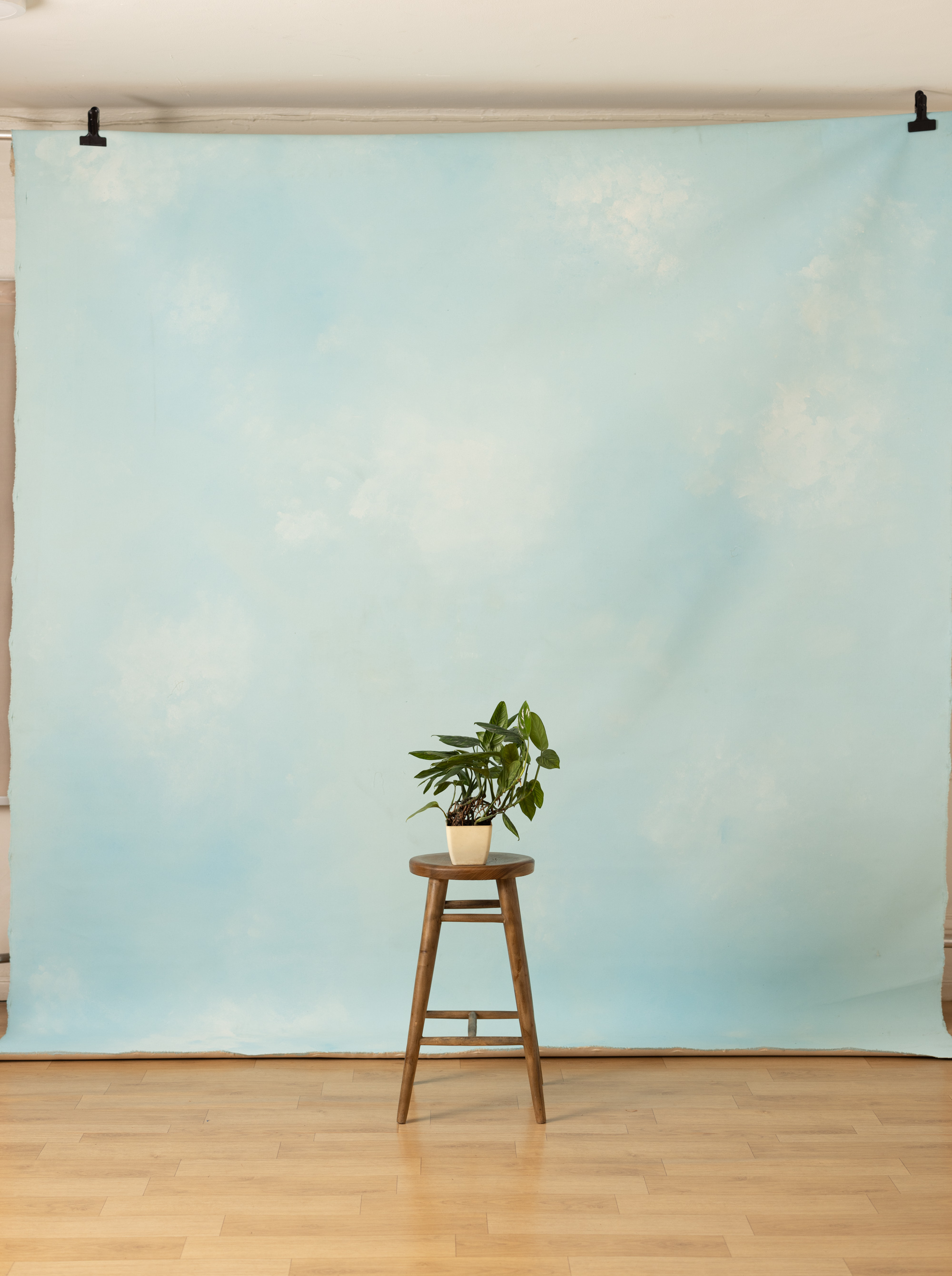 Porcelain Painted Canvas Backdrop (RN#405) view 3