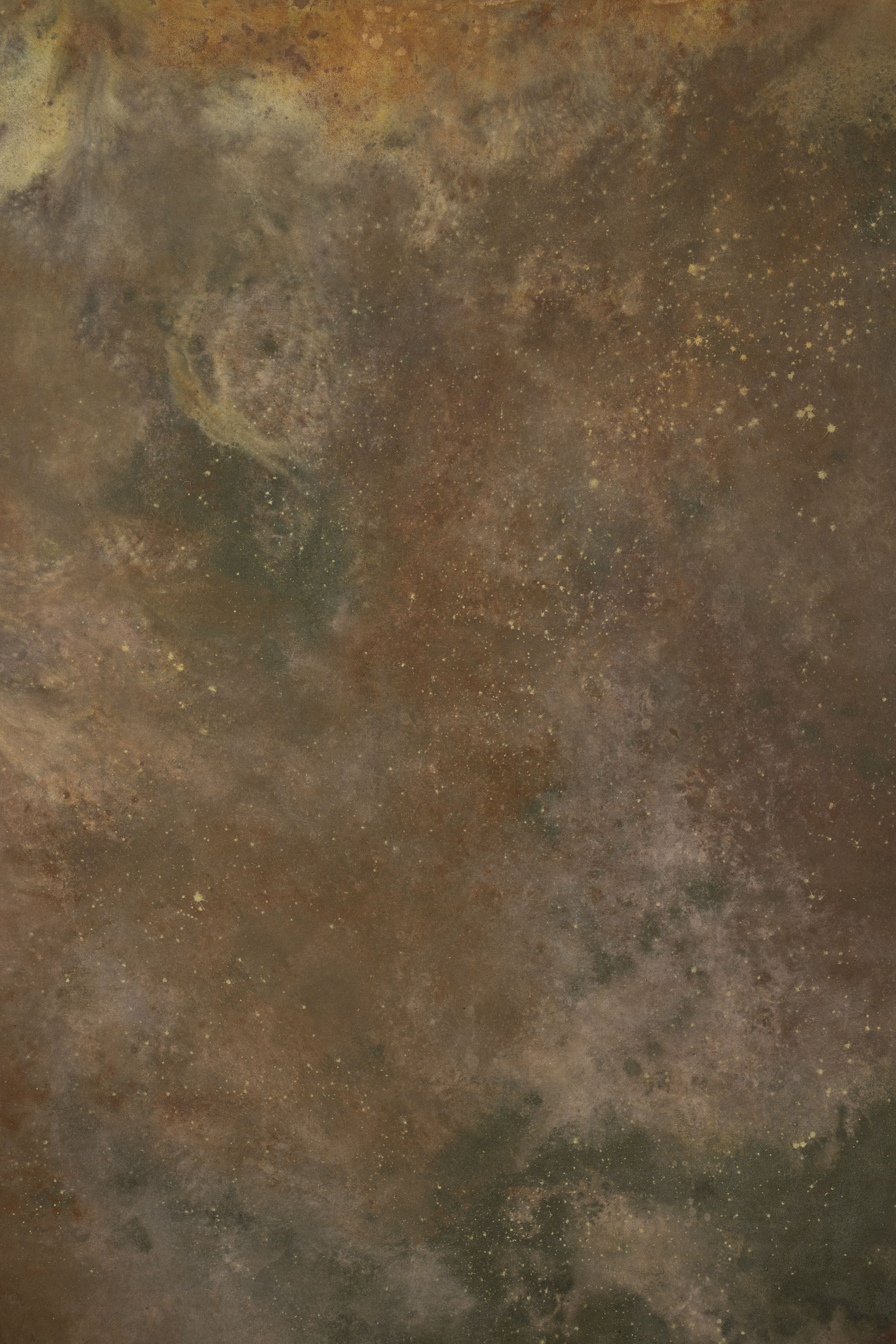 Pickled and Iroko Painted Canvas Backdrop (RN#418)