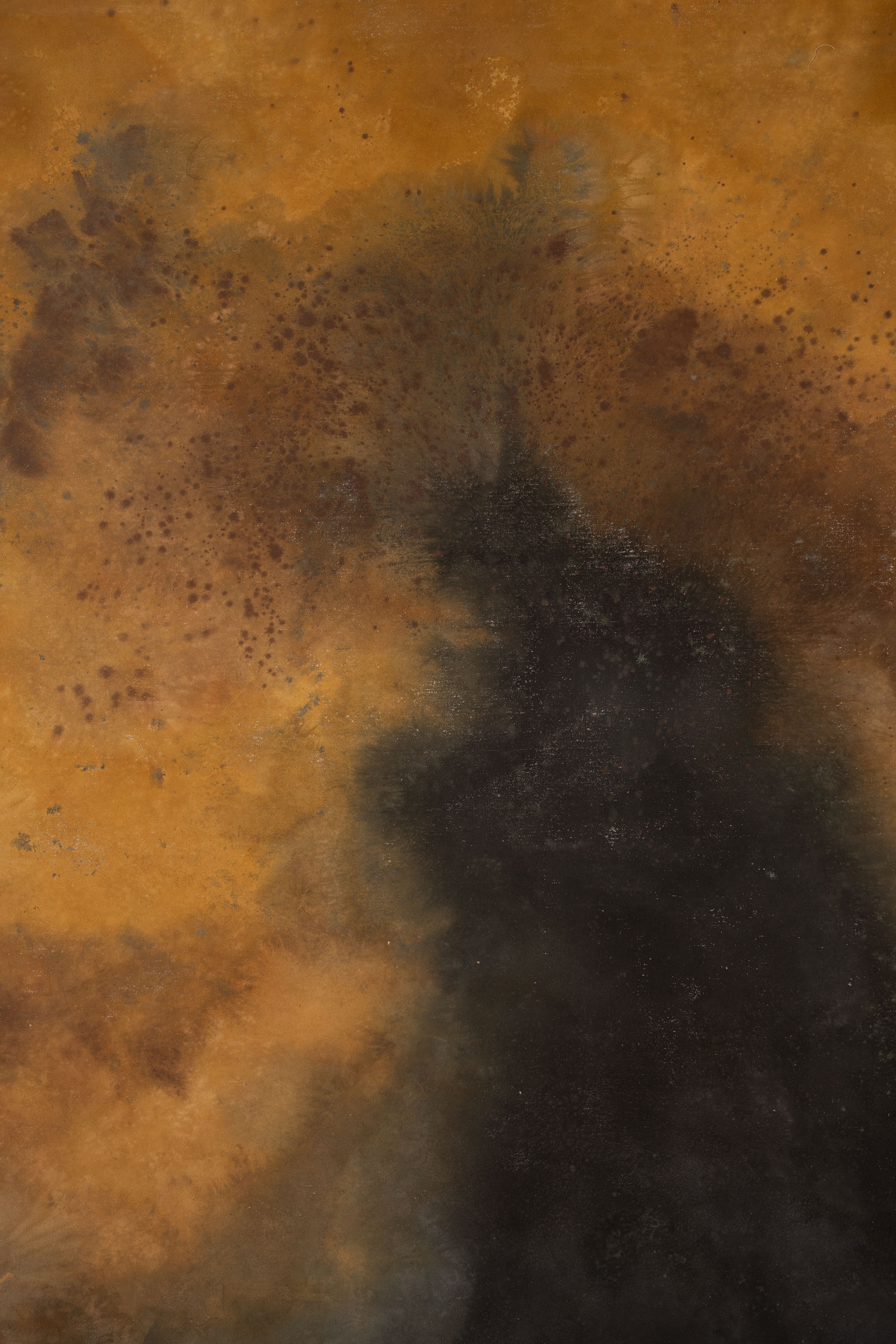 Pickled and Iroko Painted Canvas Backdrop (RN#418) view 2