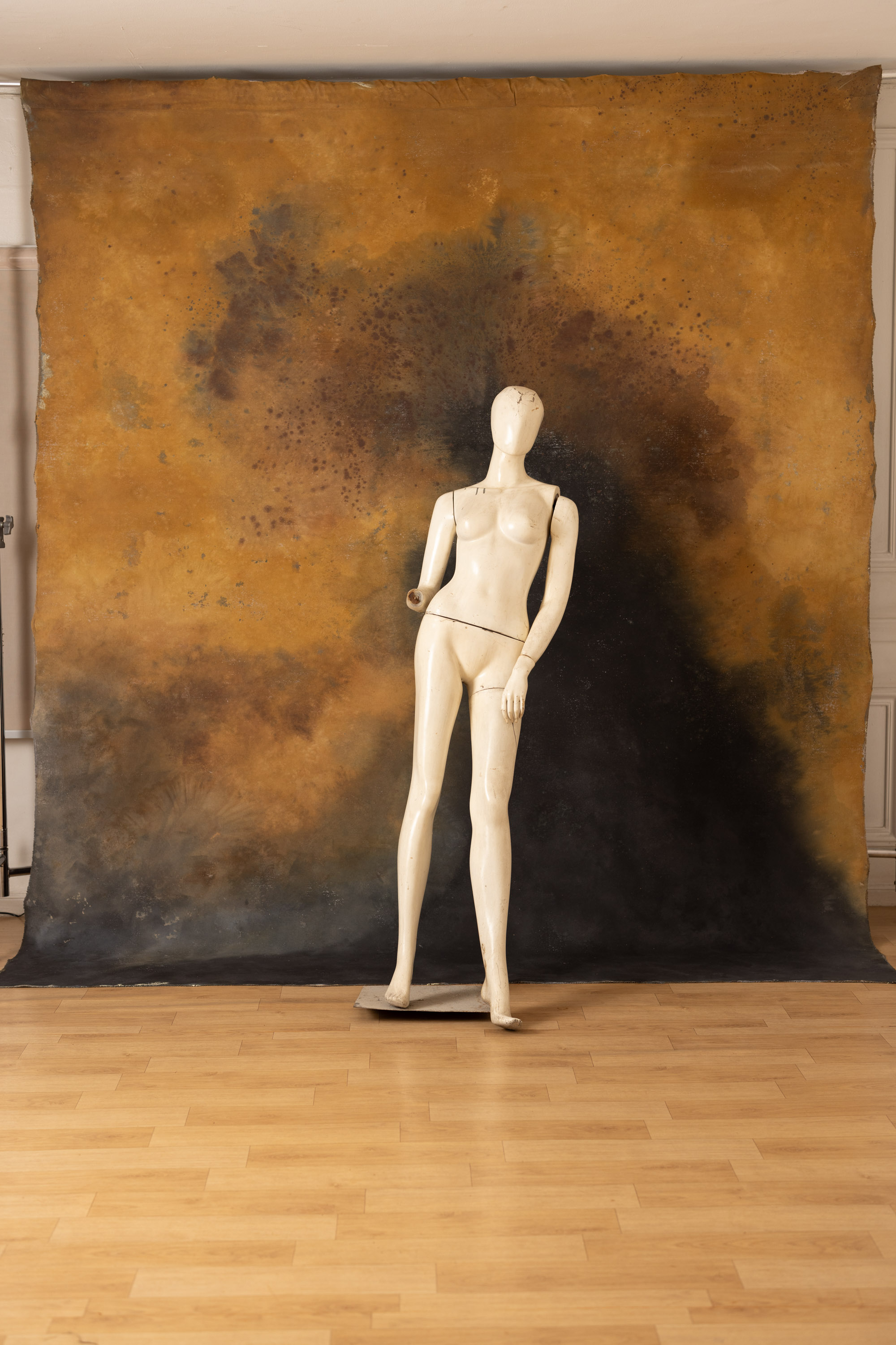 Pickled and Iroko Painted Canvas Backdrop (RN#418) view 8