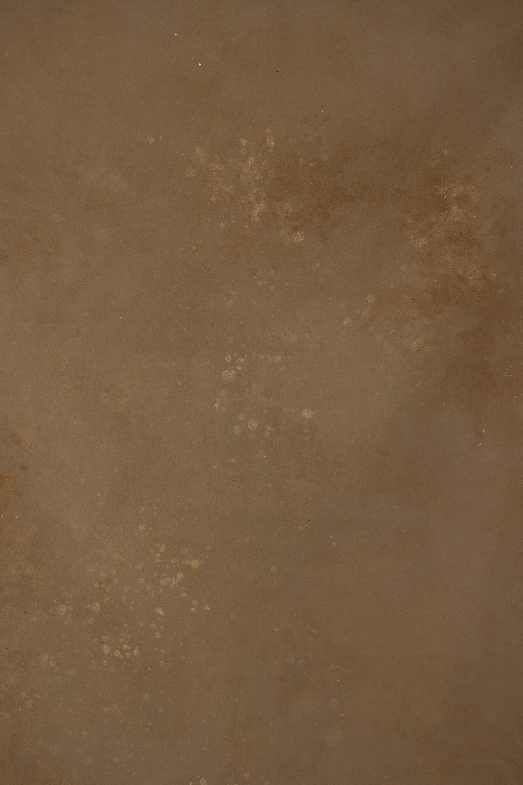 Dark Taupe Painted Canvas Backdrop (RN#426)