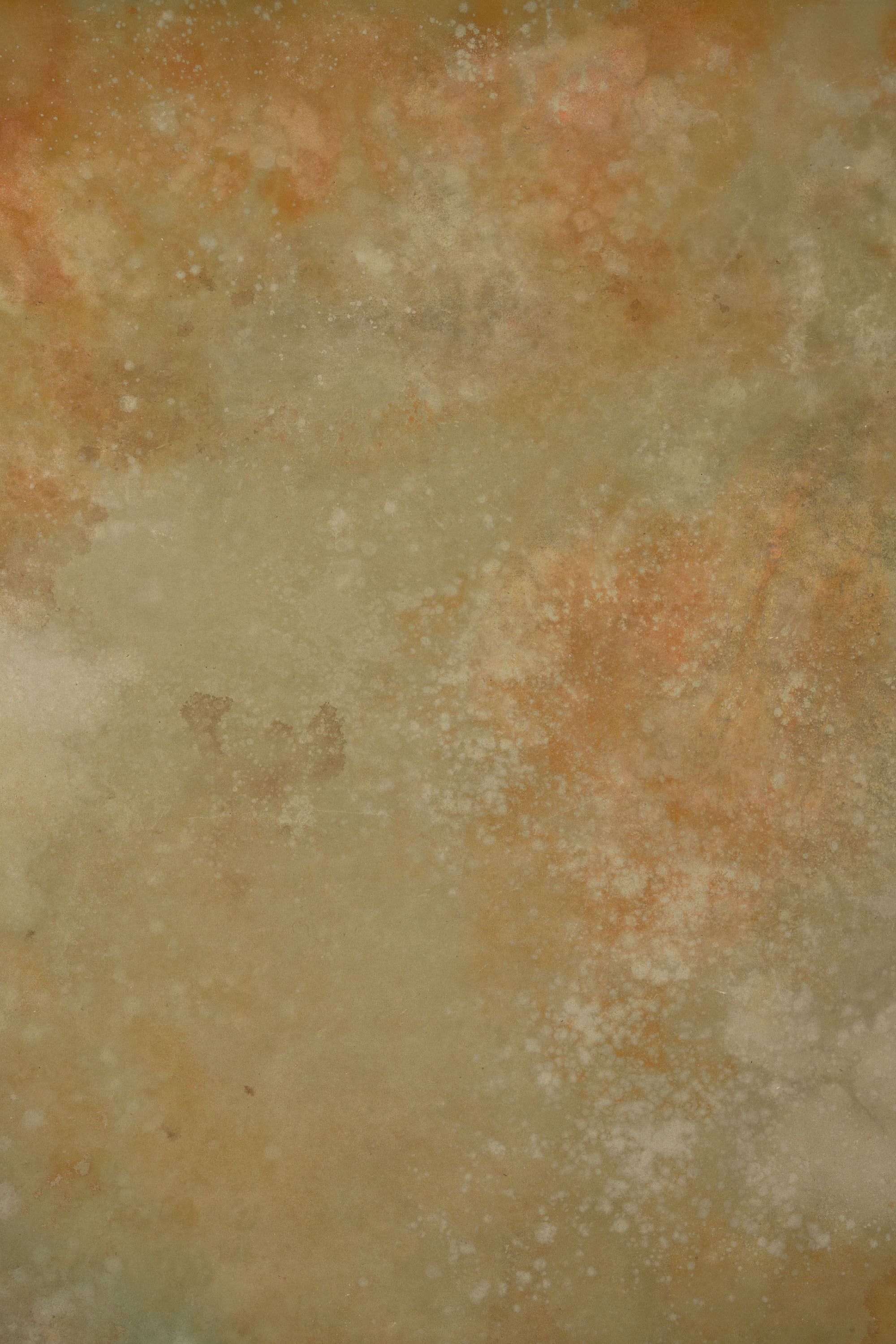 Stormy and Heathered Painted Canvas Backdrop (RN#421) view 2