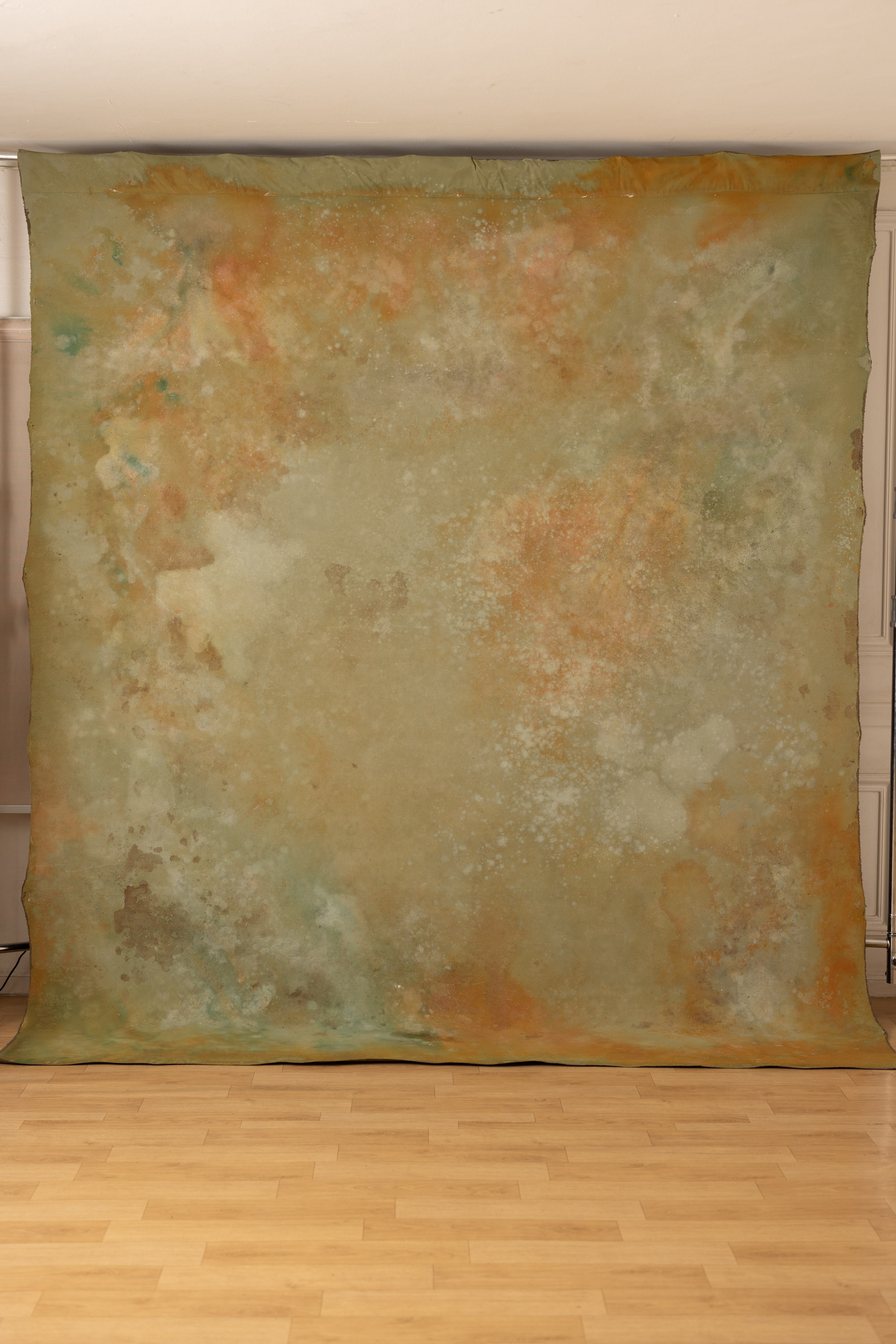 Stormy and Heathered Painted Canvas Backdrop (RN#421) view 4