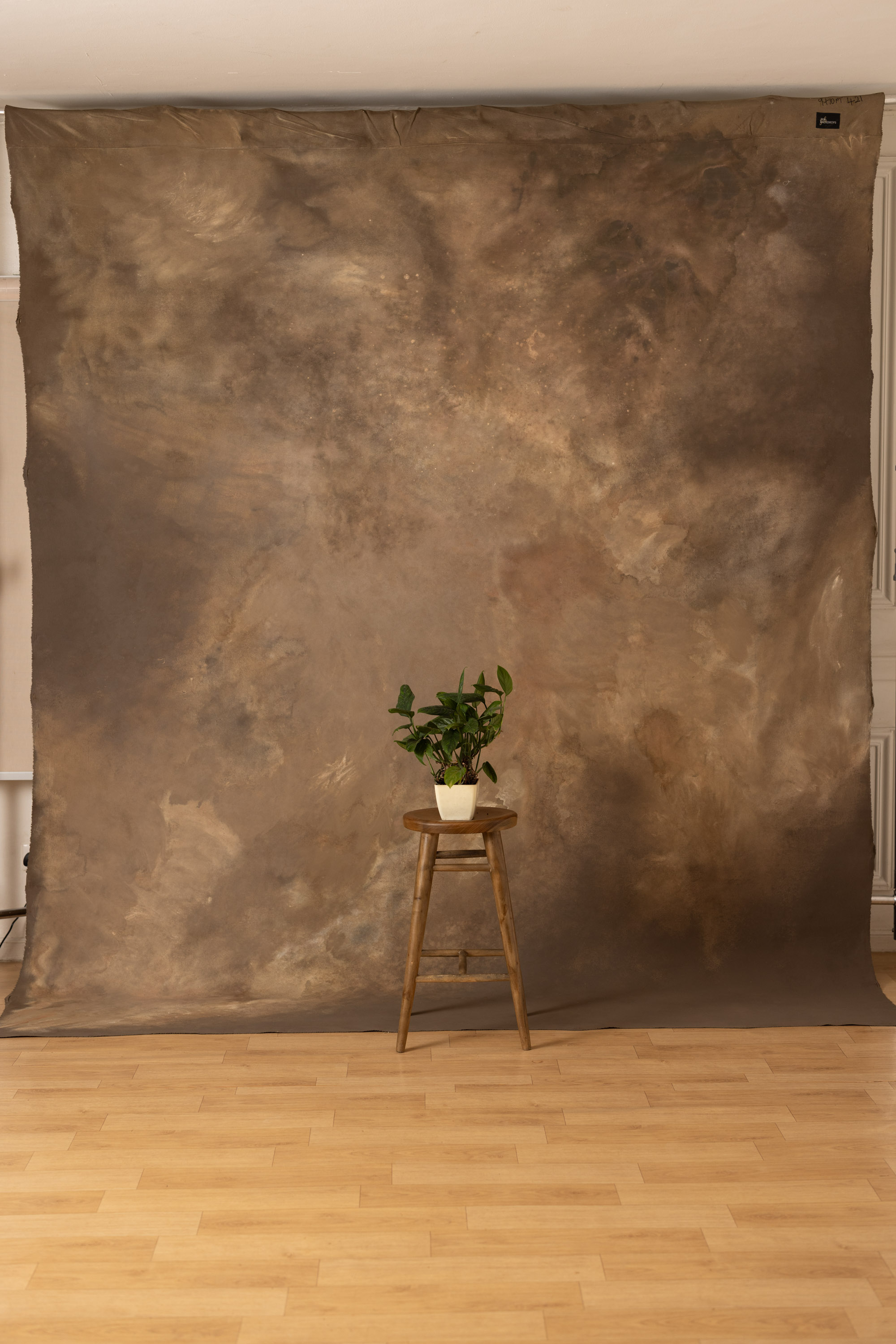 Stormy and Heathered Painted Canvas Backdrop (RN#421) view 5
