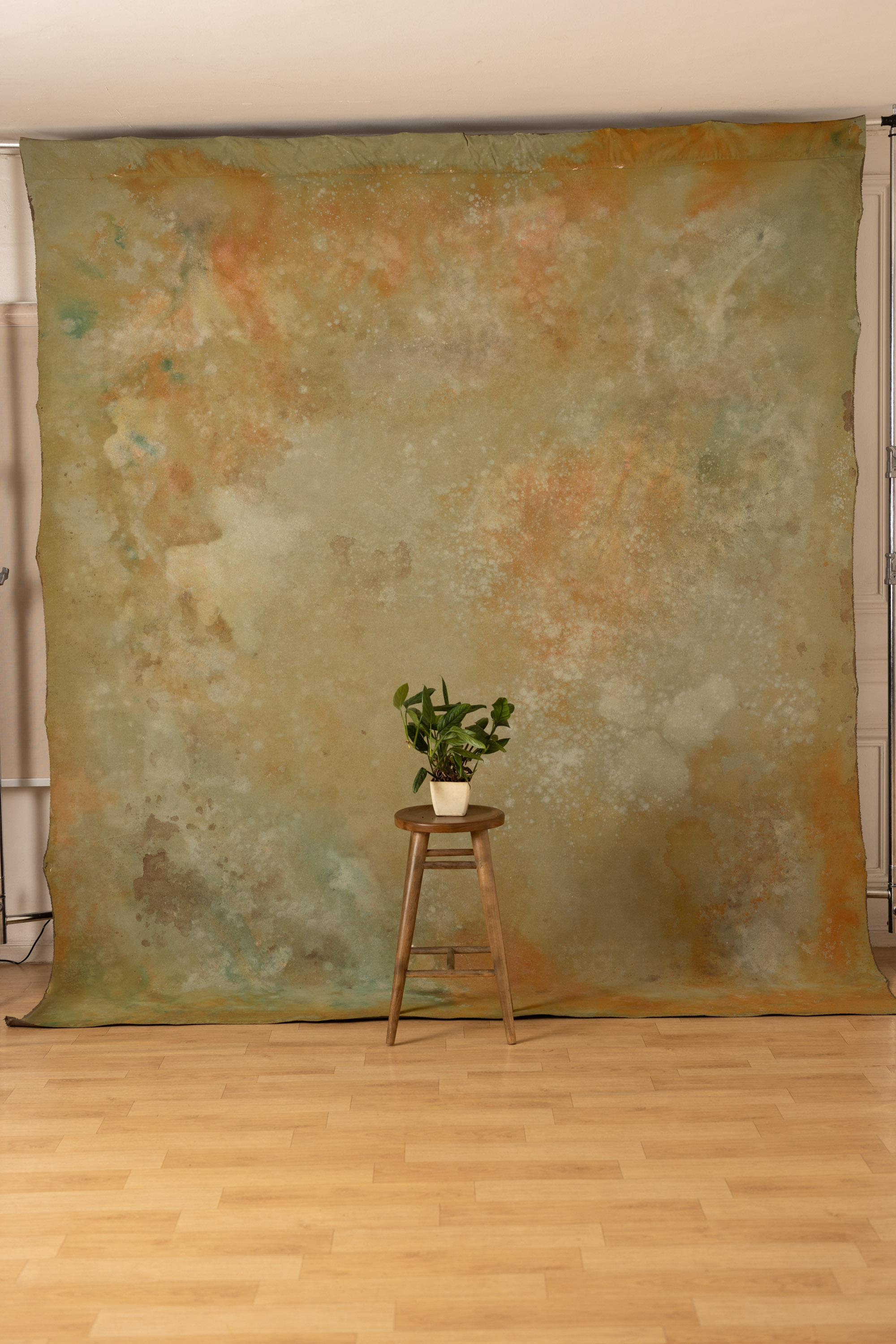 Stormy and Heathered Painted Canvas Backdrop (RN#421) view 6