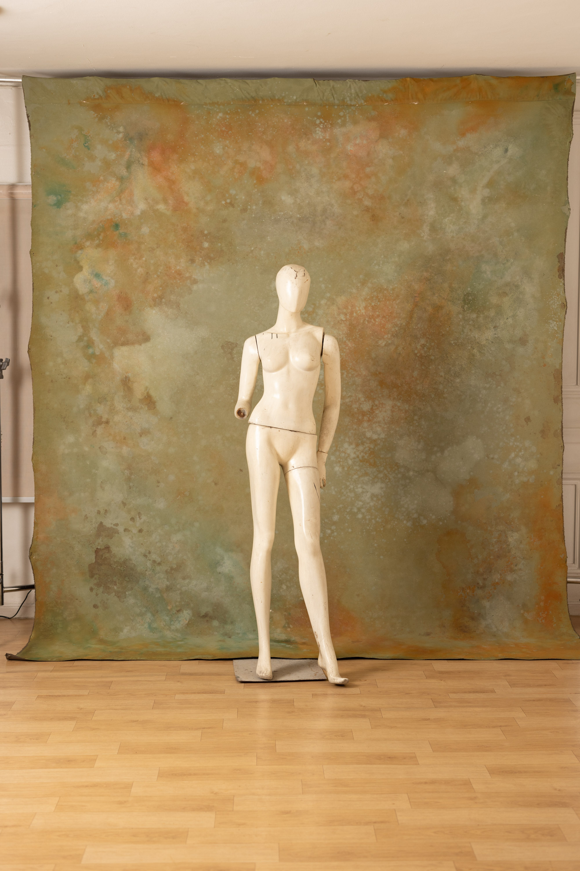 Stormy and Heathered Painted Canvas Backdrop (RN#421) view 8