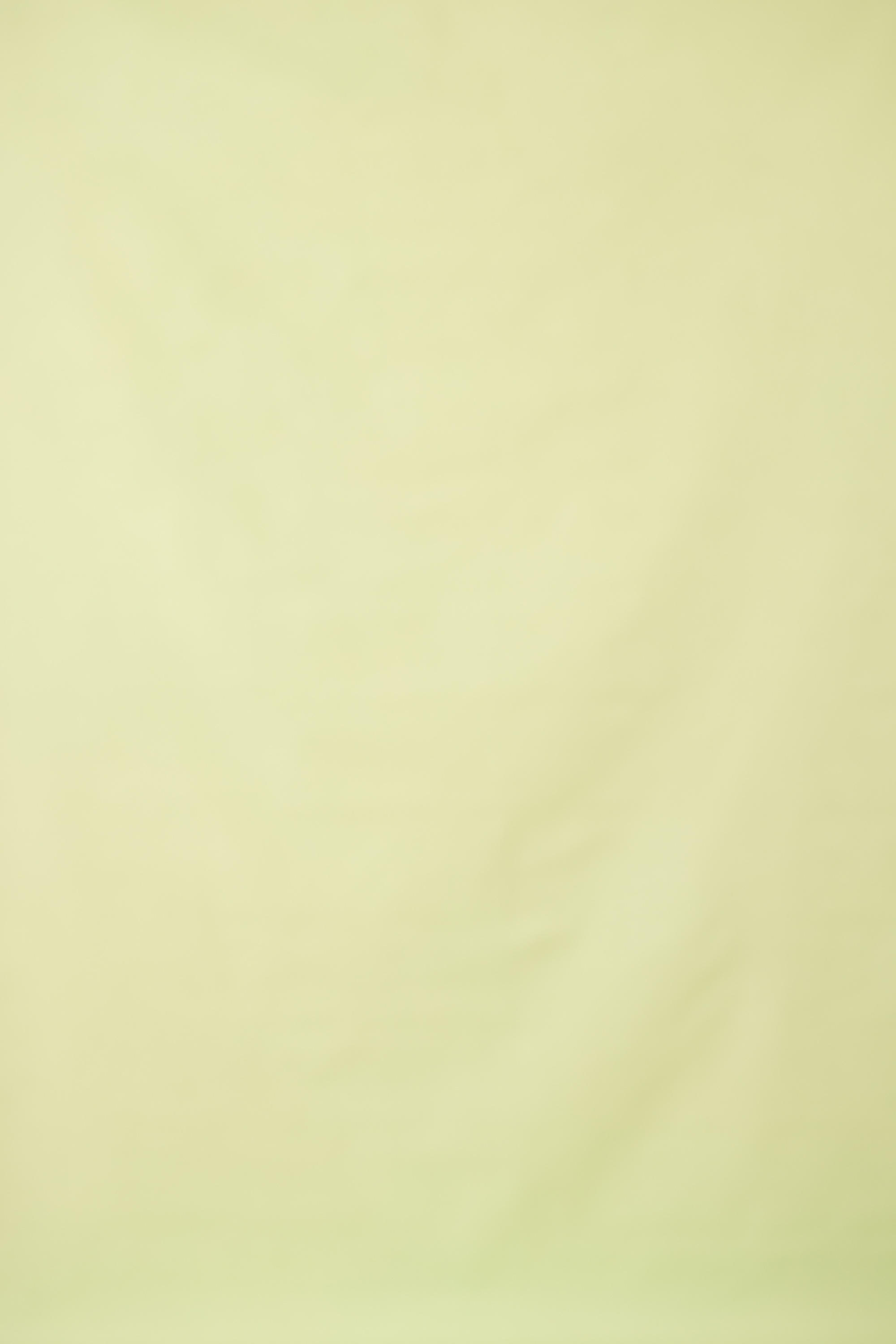 Green Mist Painted Canvas Backdrop (RN#423)