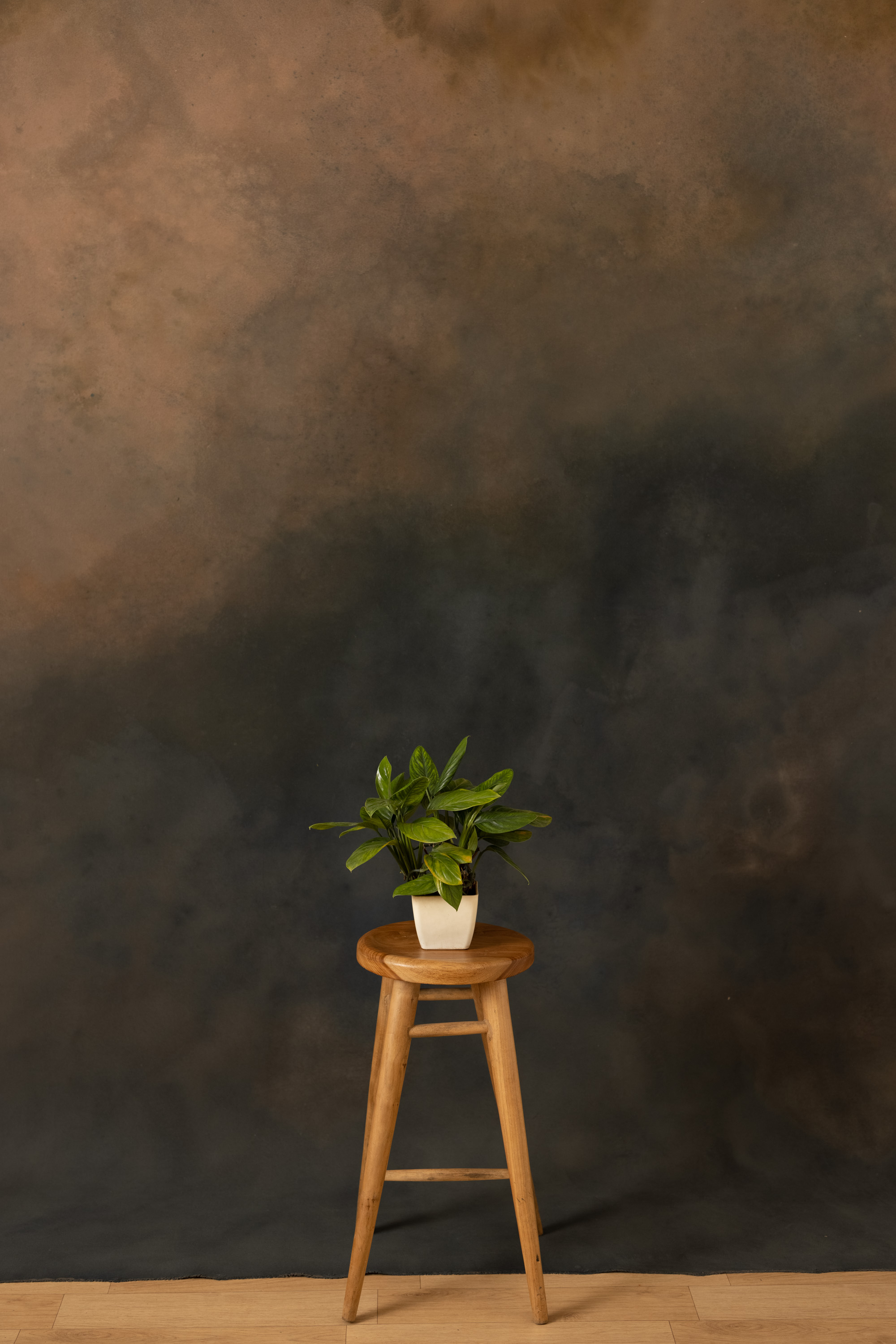 Midnight Moss Painted Canvas Backdrop (RN#400) view 2
