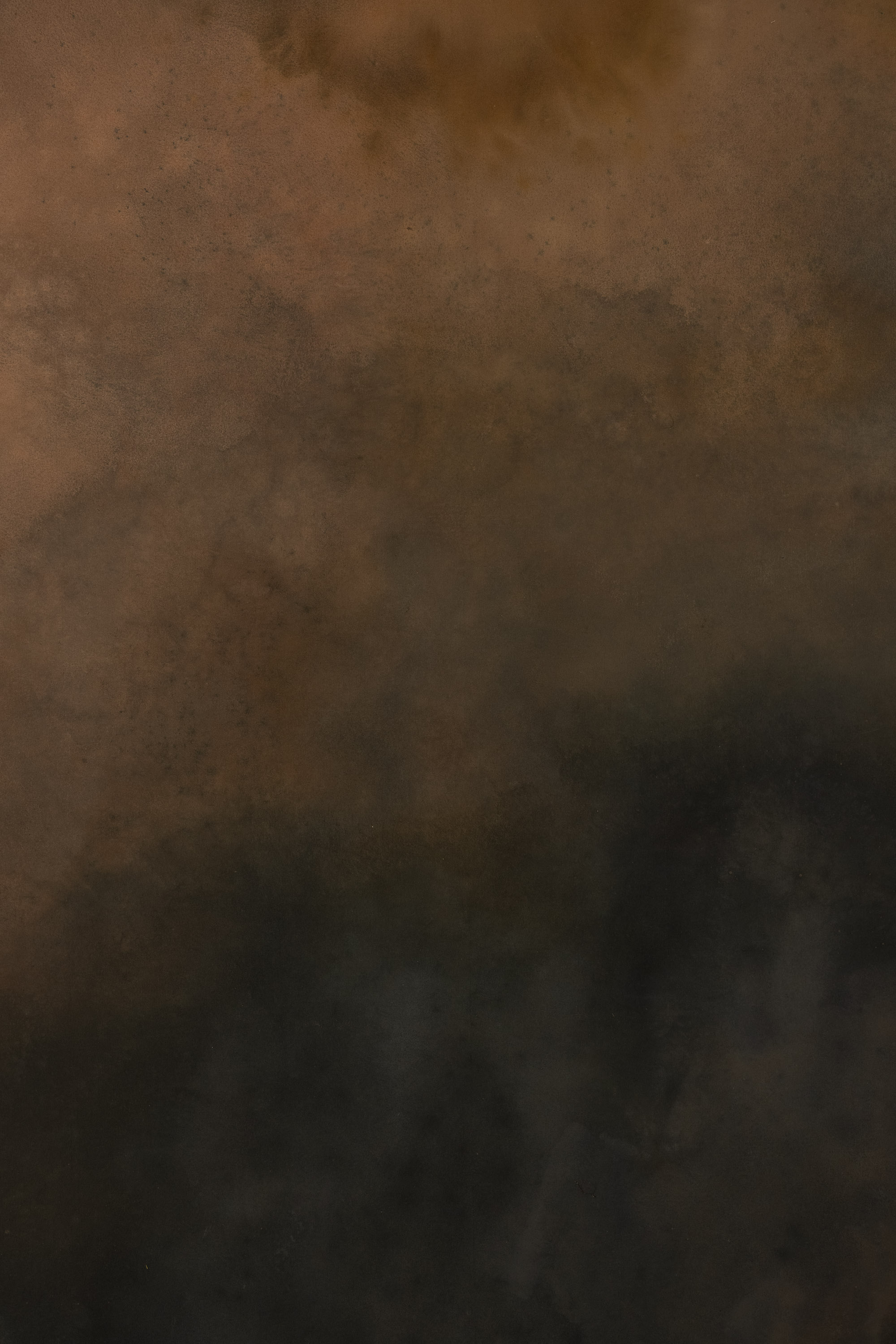 Midnight Moss Painted Canvas Backdrop (RN#400) view 4