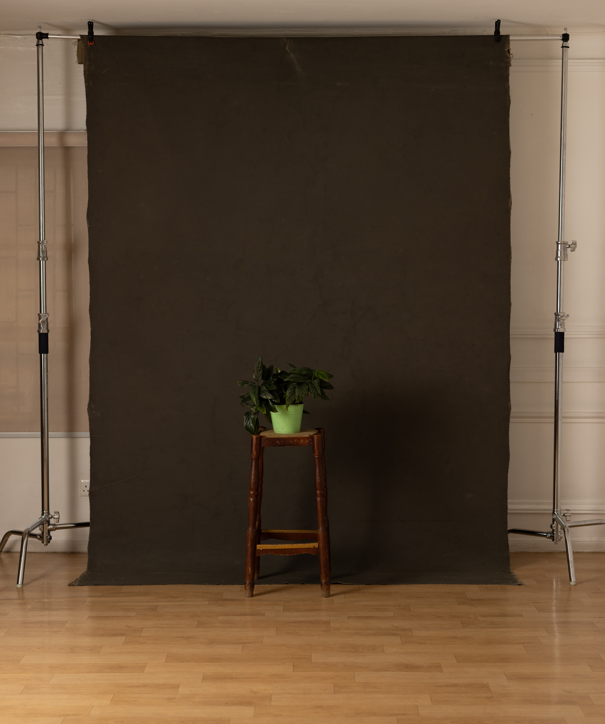 Midnight Moss Painted Canvas Backdrop (RN#400) view 5