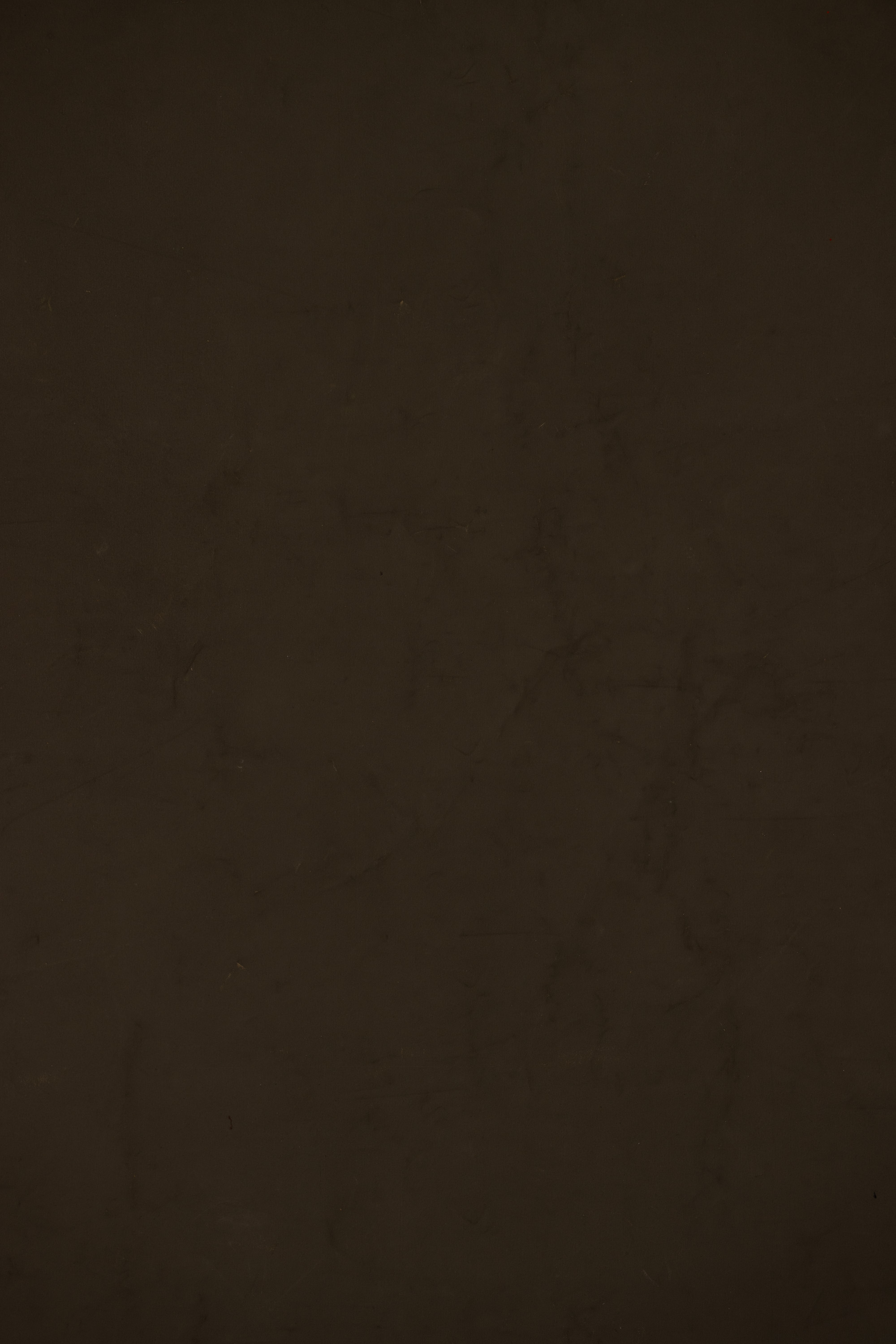 Midnight Moss Painted Canvas Backdrop (RN#400) view 7