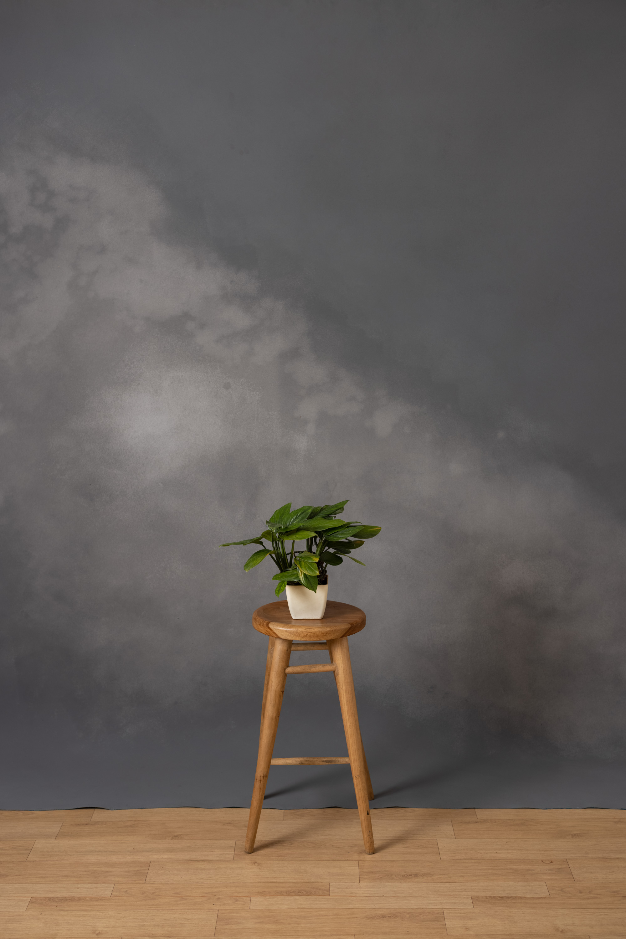Grey Sea Painted Canvas Backdrop (RN#398)
