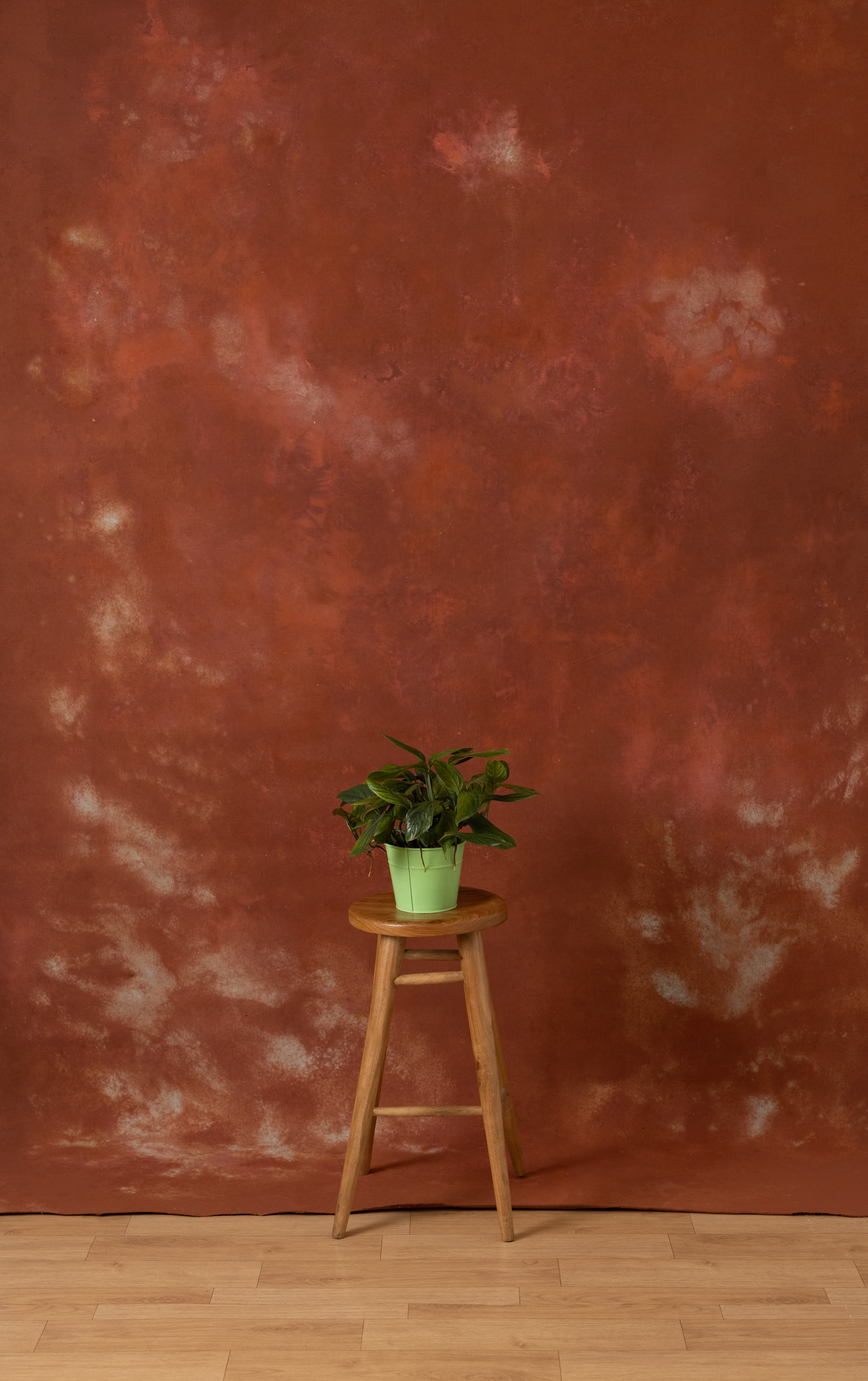 Burnt Umber Painted Canvas Backdrop (RN#384)